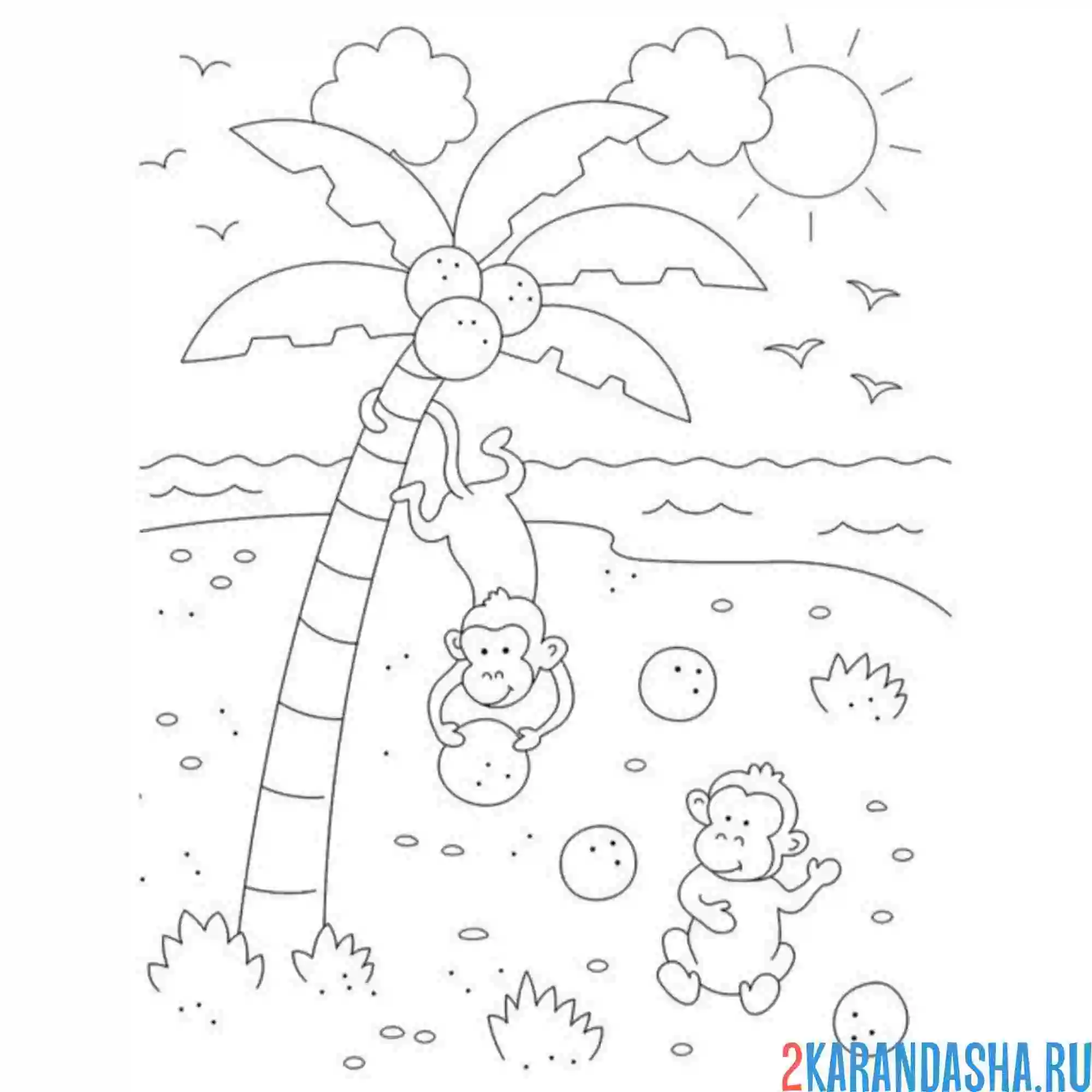 Раскраска пальмы море обезьянки