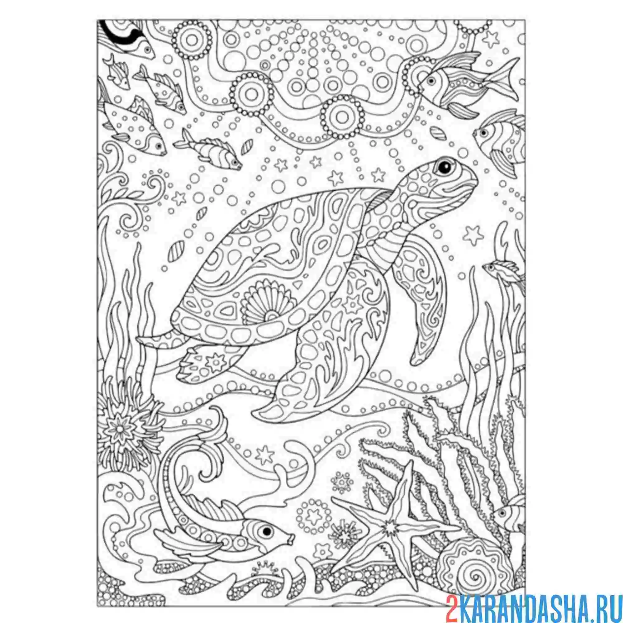 Раскраска черепаха в море