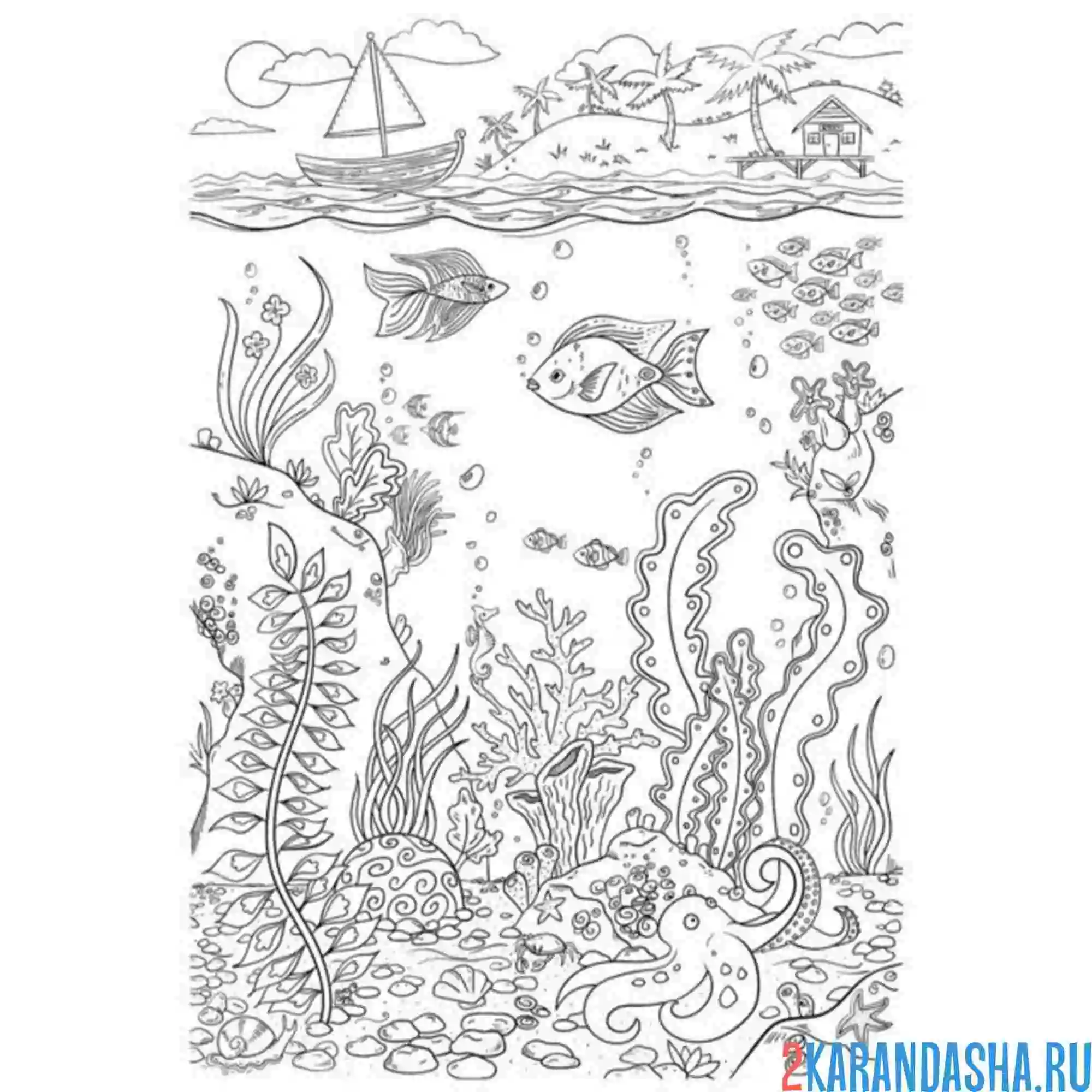 Раскраска море и обитатели