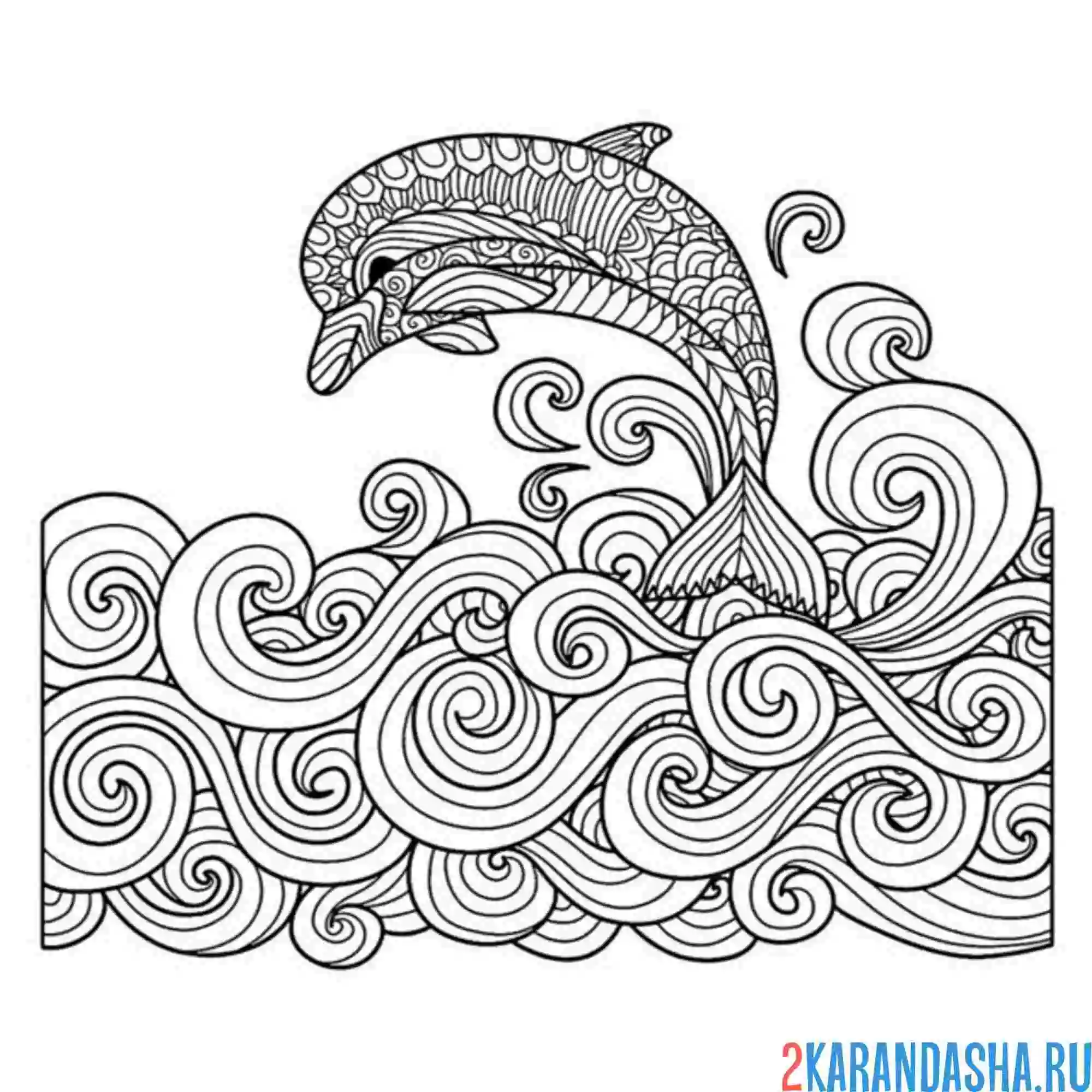 Раскраска дельфин волны арт