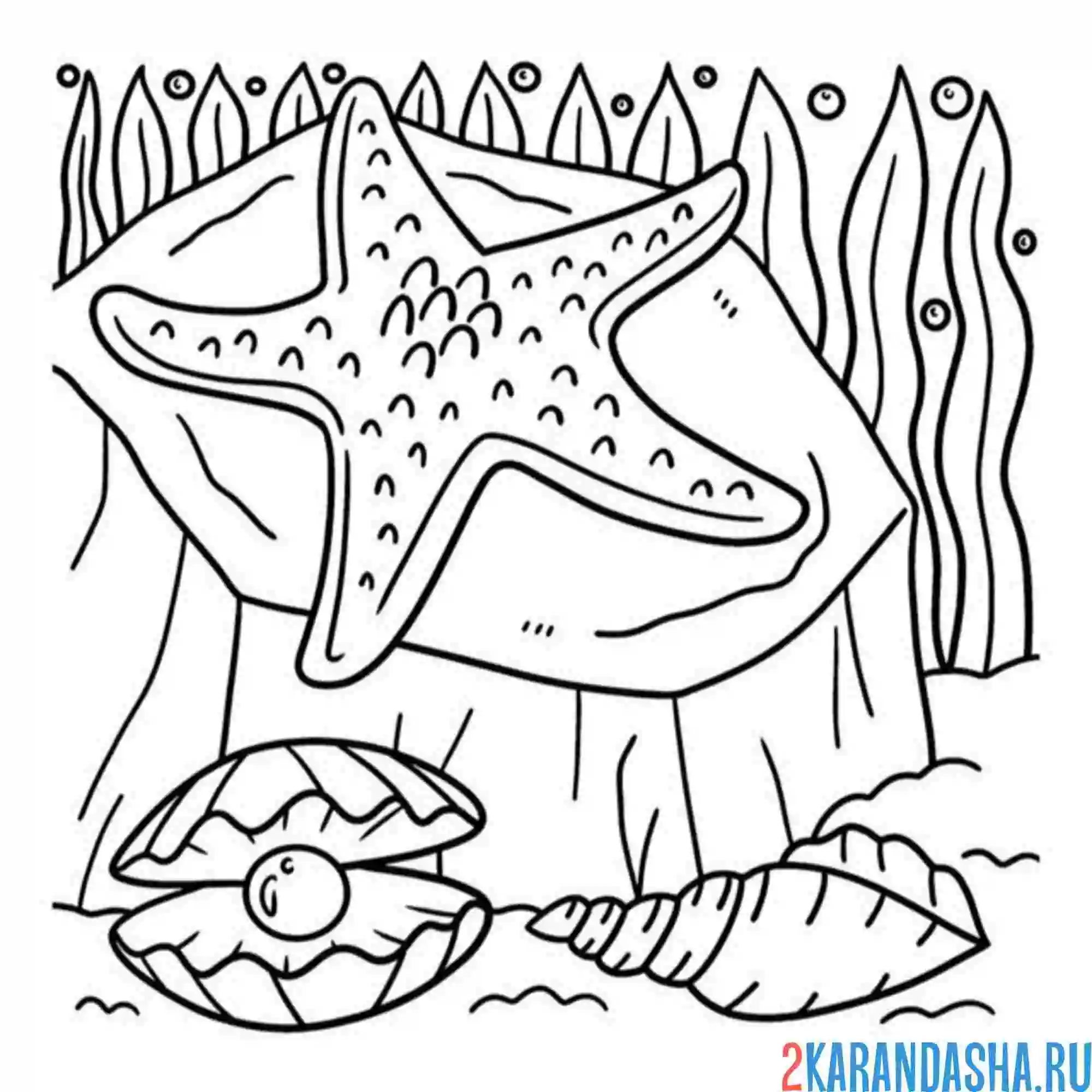 Раскраска в море морская звезда