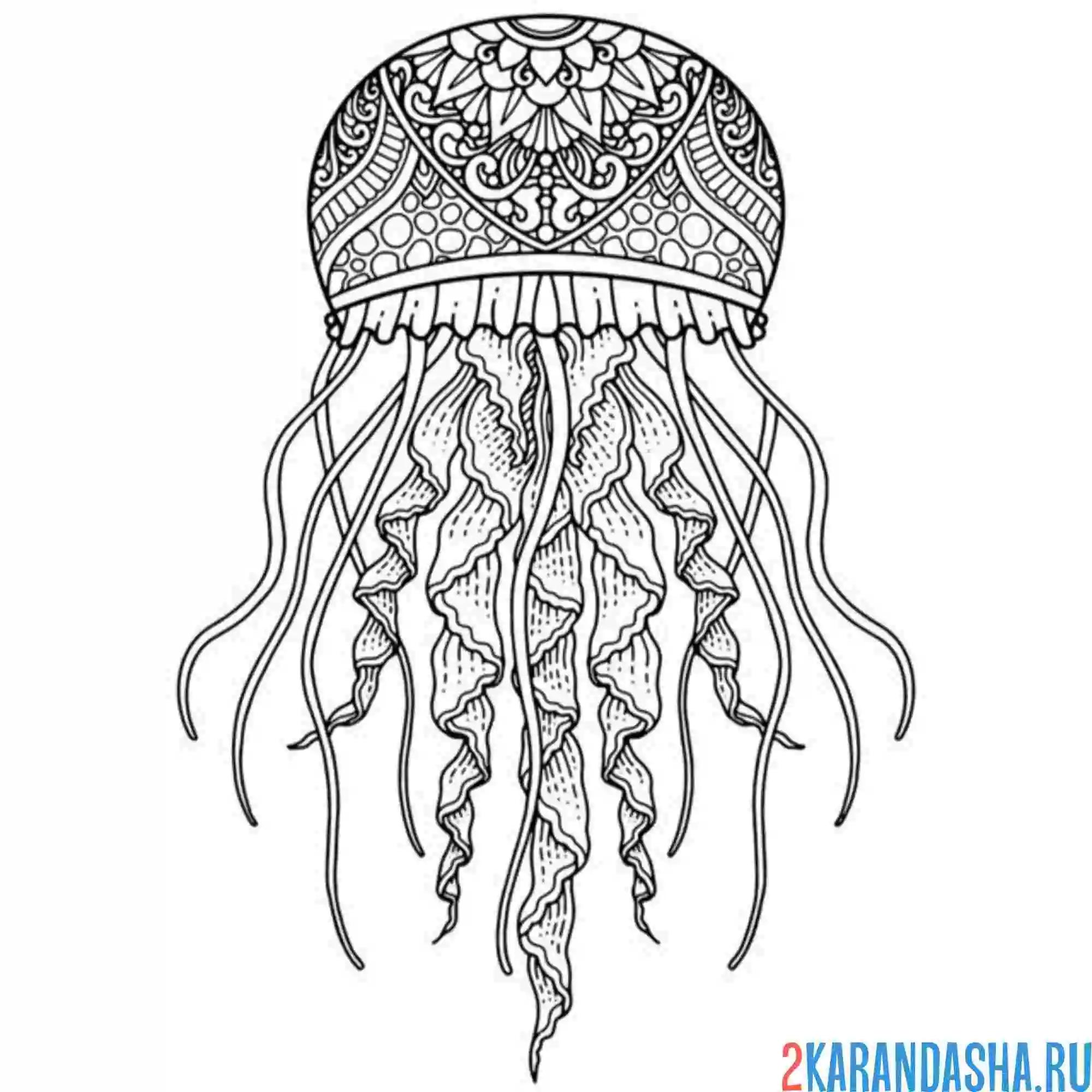 Раскраска медуза антистресс