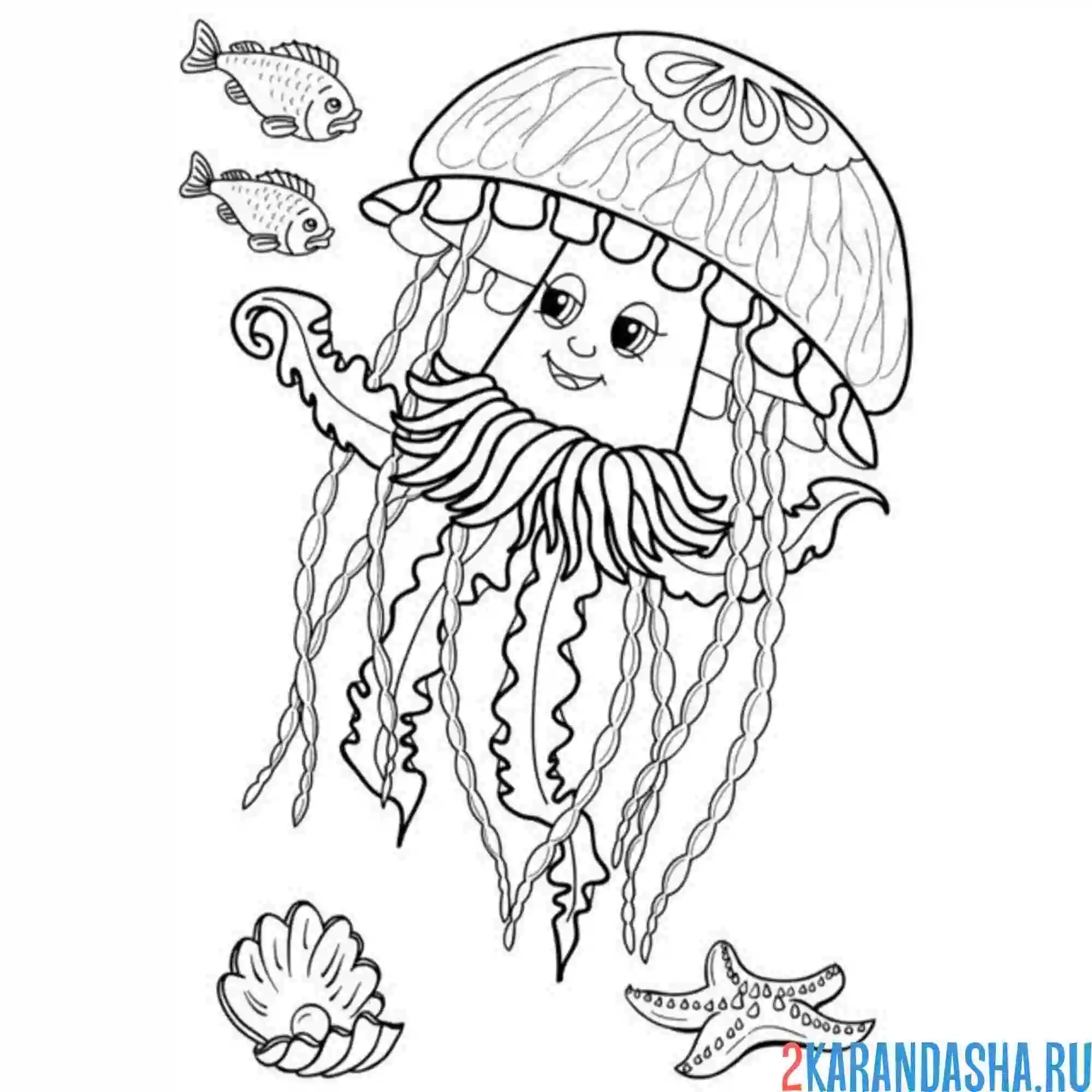 Раскраска красивая медуза