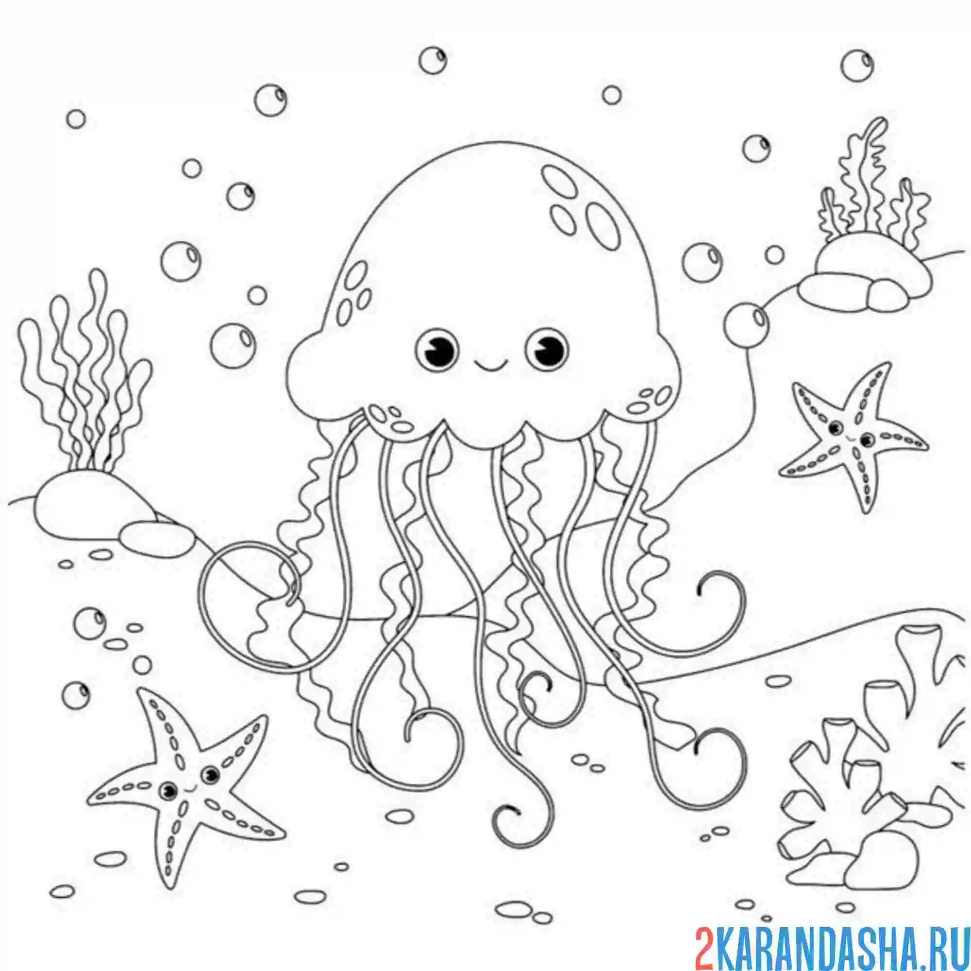 Раскраска медуза подводный мир