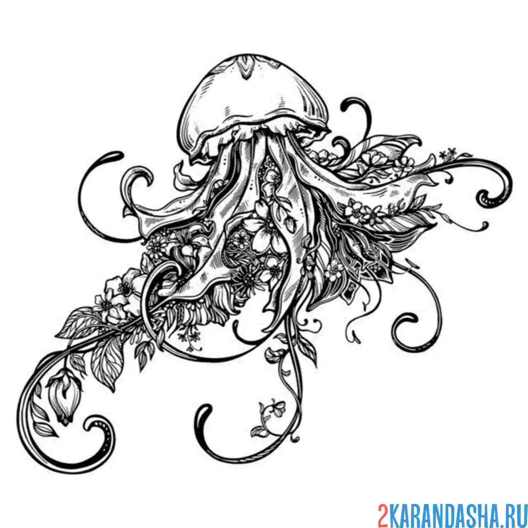 Раскраска арт медуза