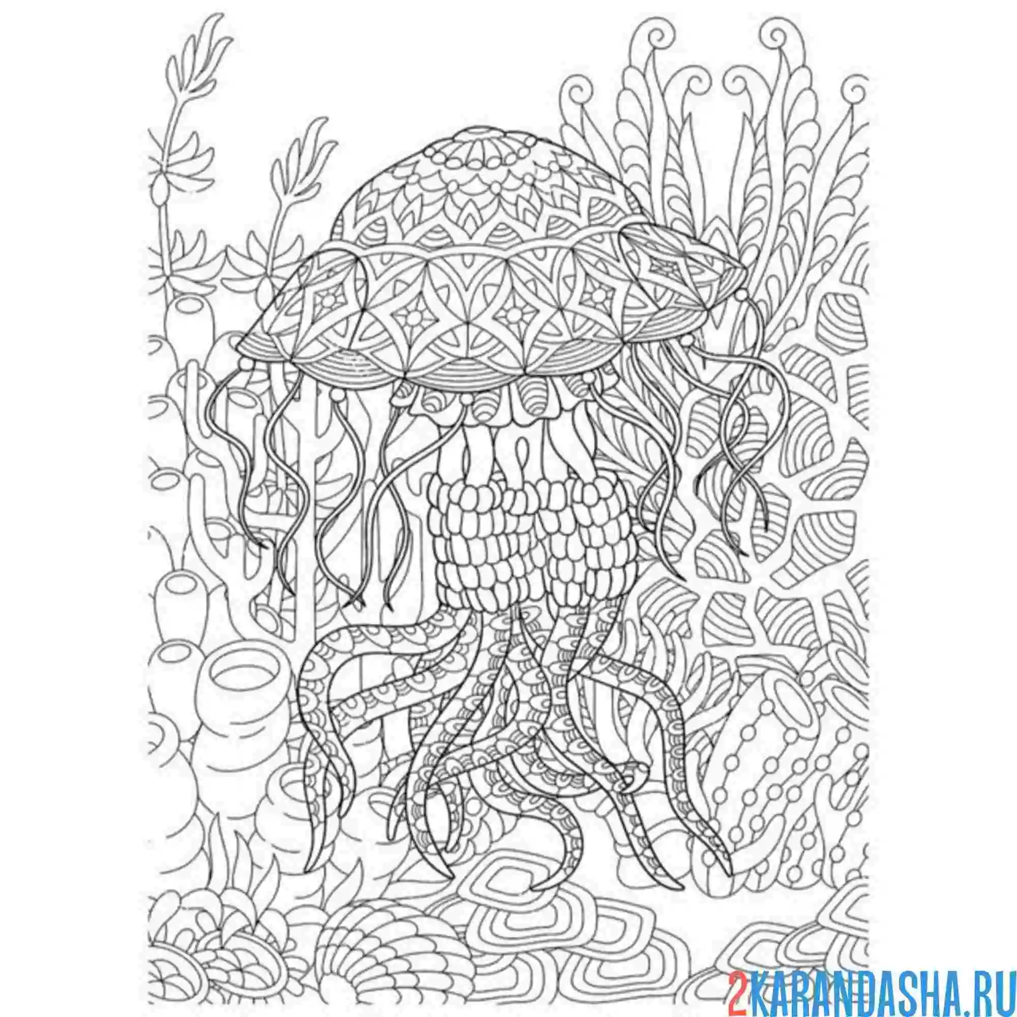 Раскраска сложный антистресс медуза