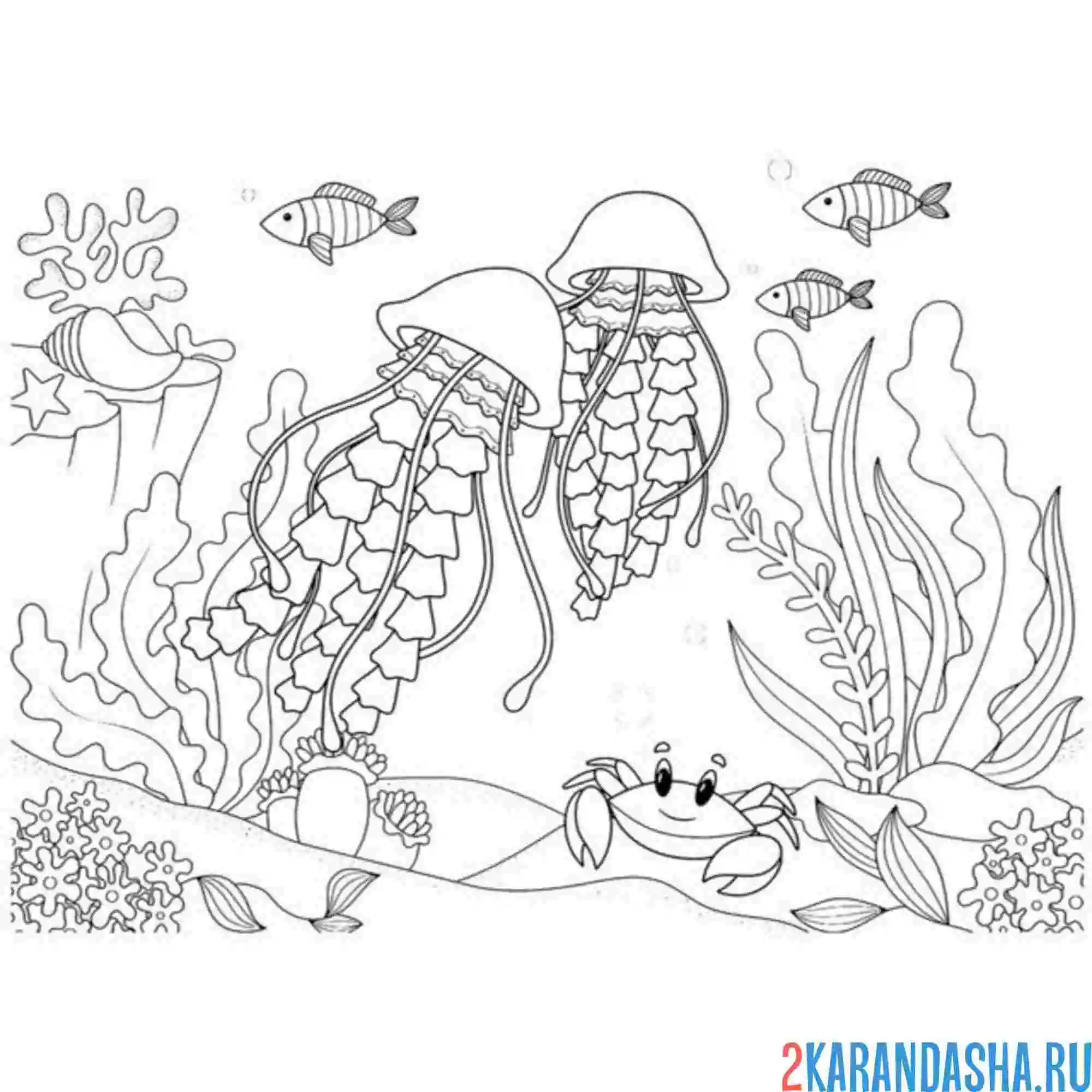 Раскраска подводный мир с медузами