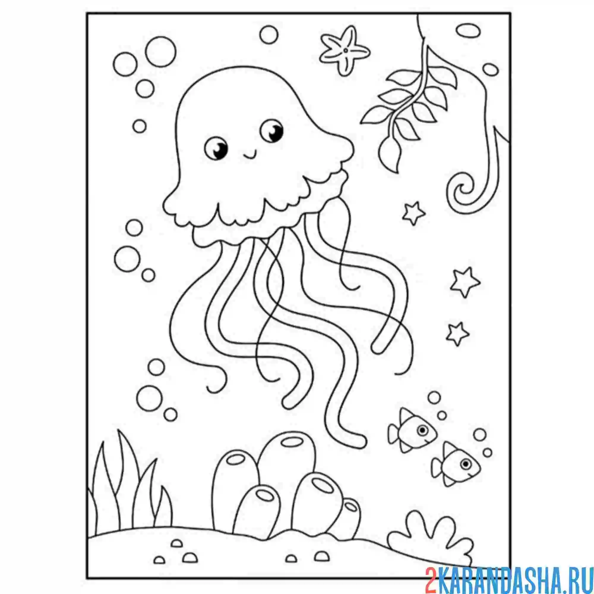 Раскраска медуза плавающая