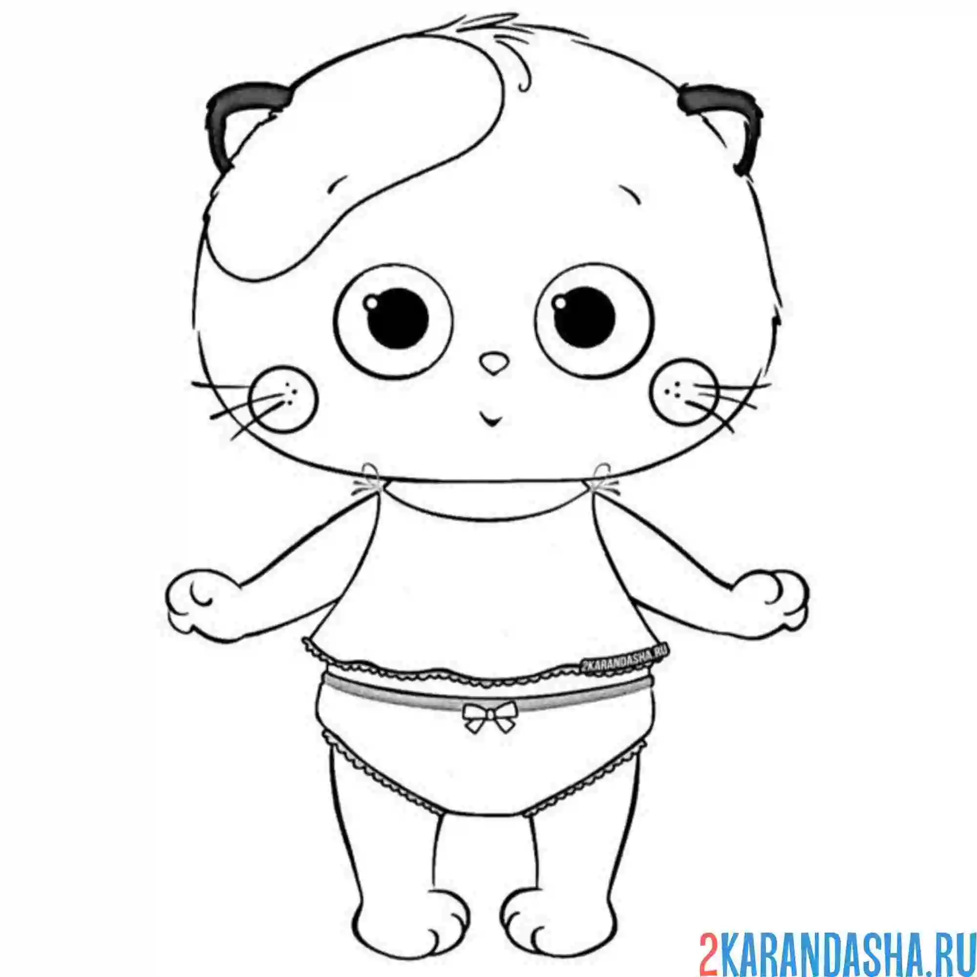 Раскраска басик кошечка ли-ли