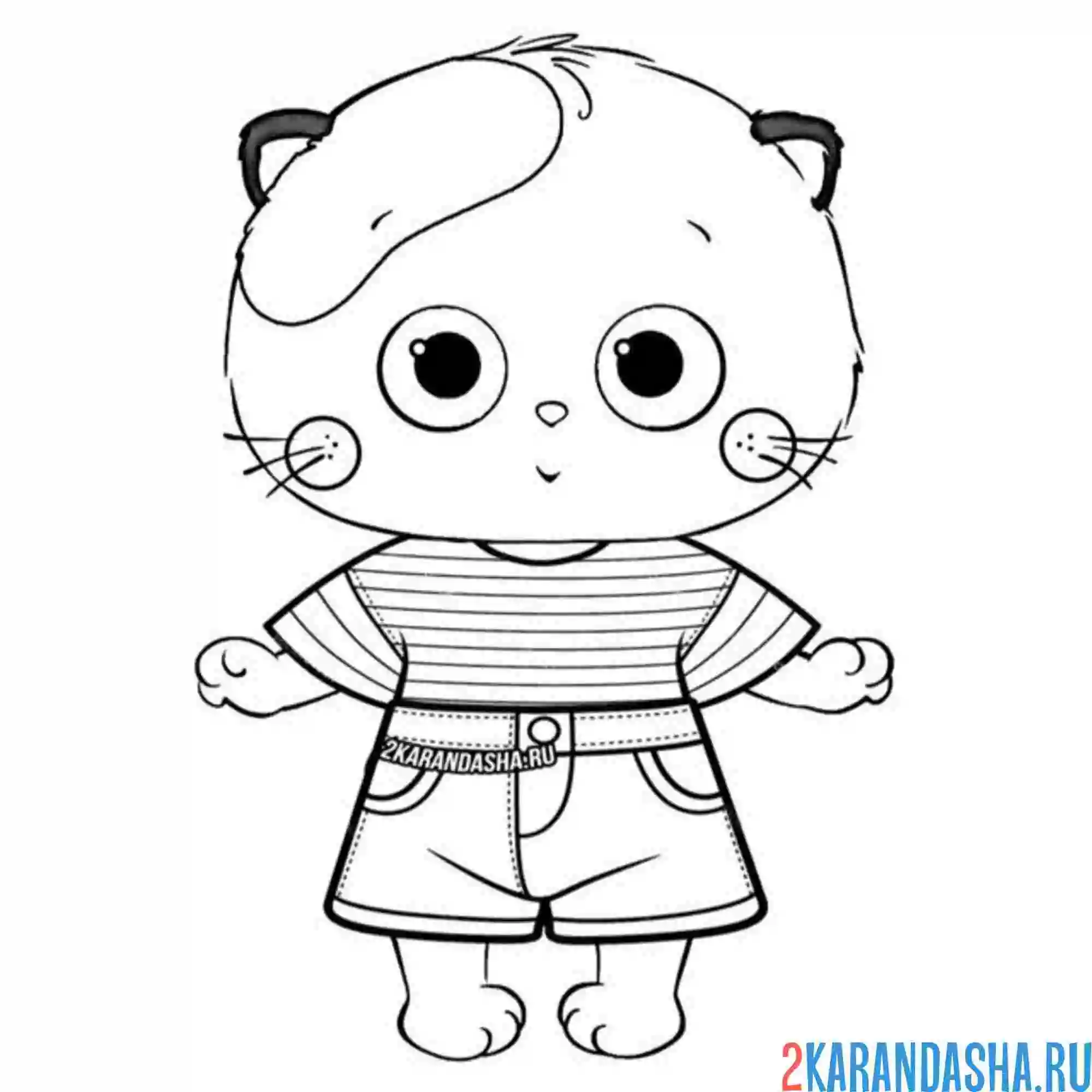 Раскраска лили в шортиках и футболке басик