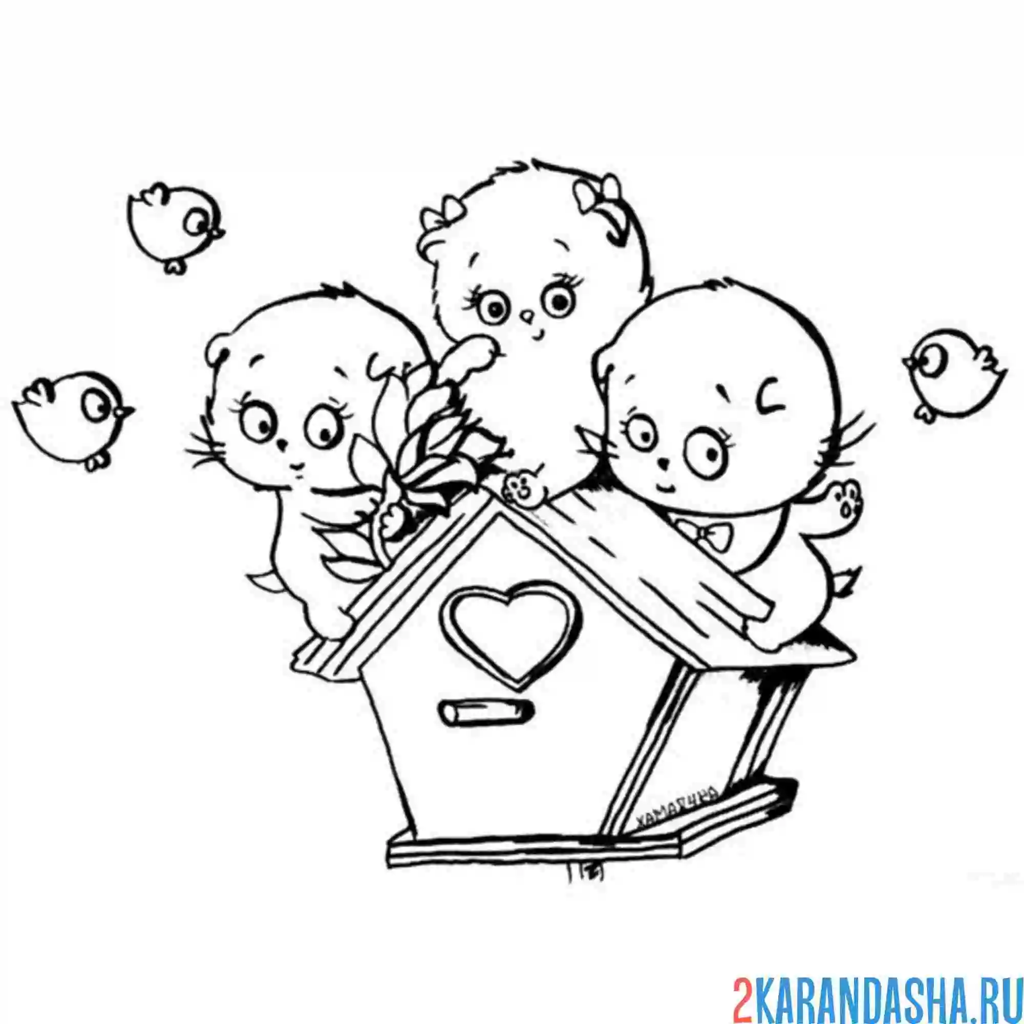 Раскраска коты басик