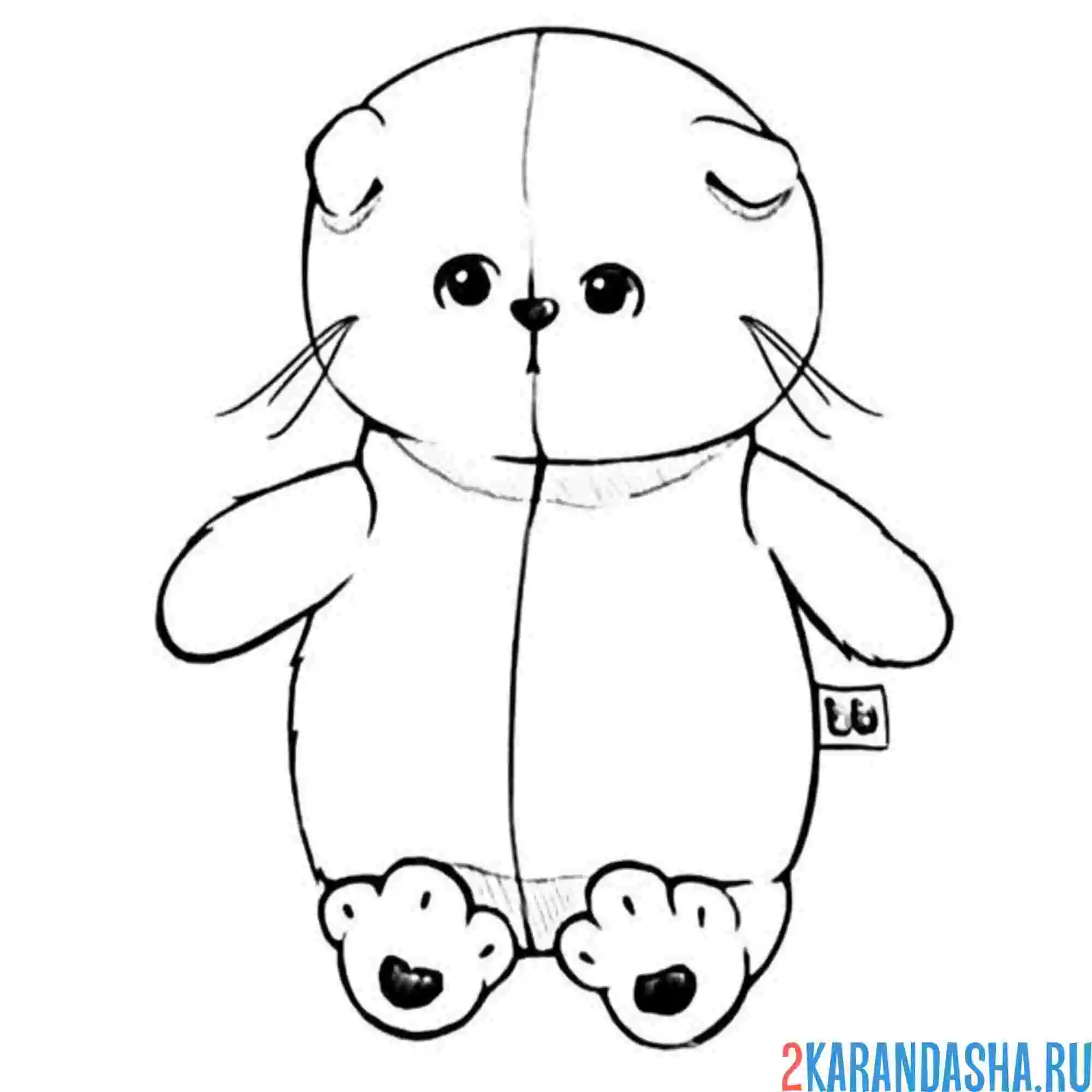 Раскраска басик котик