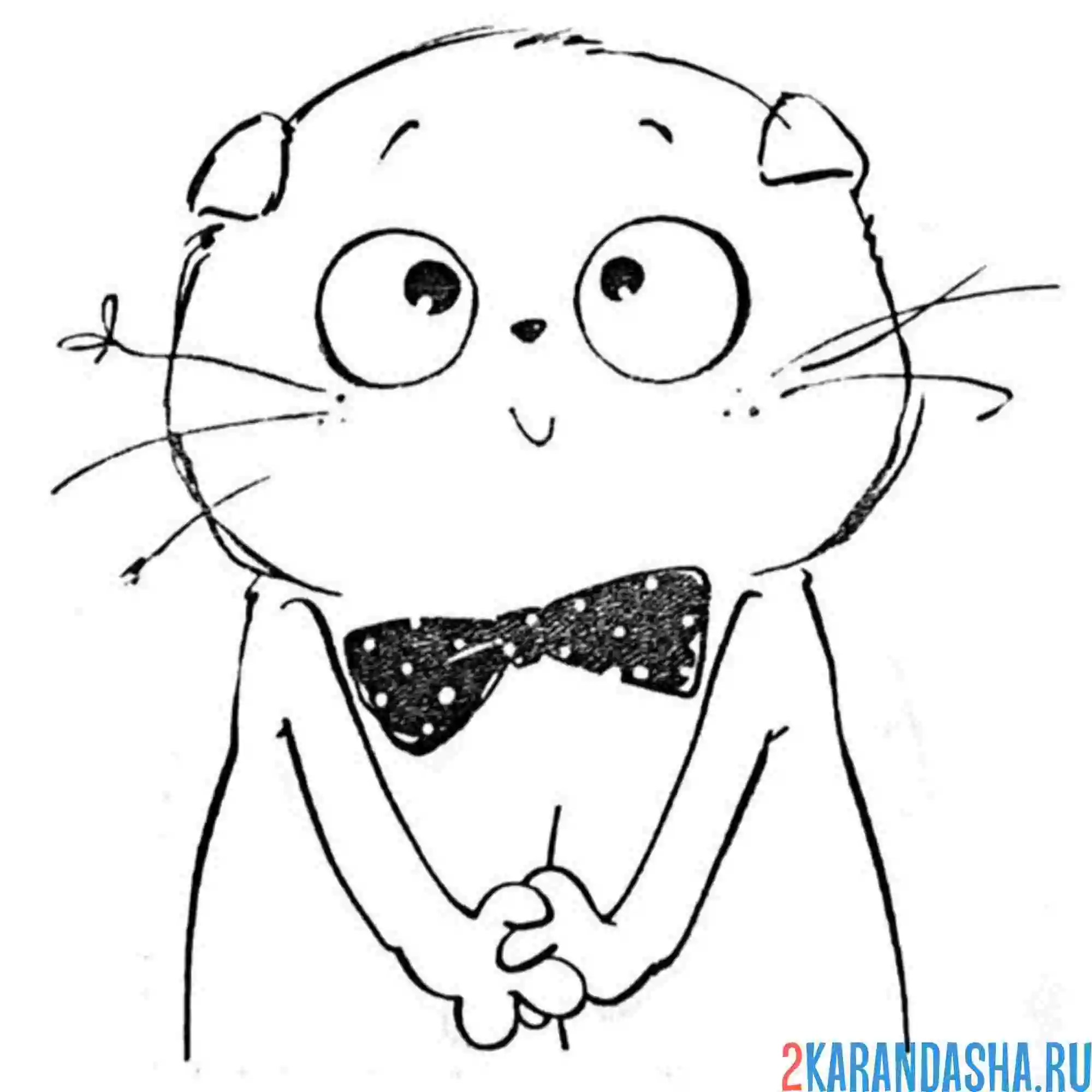 Раскраска басик в бабочке