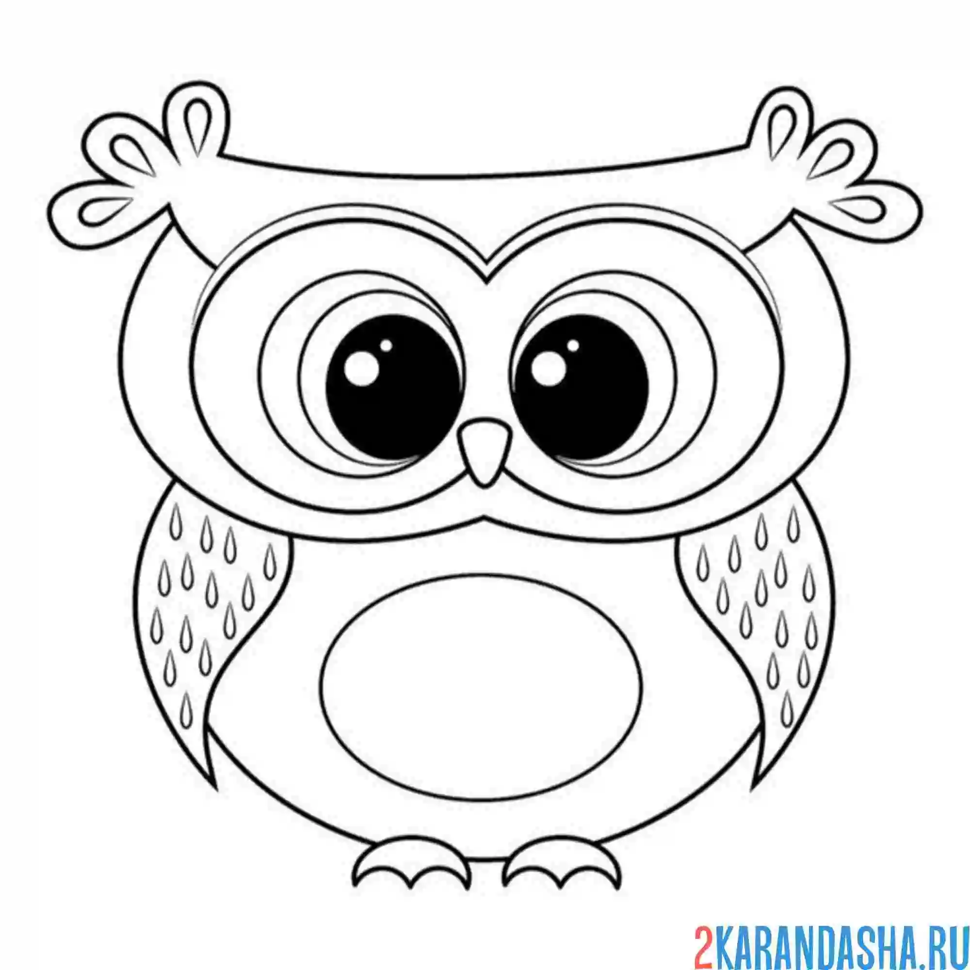 Раскраска сова с большими глазками