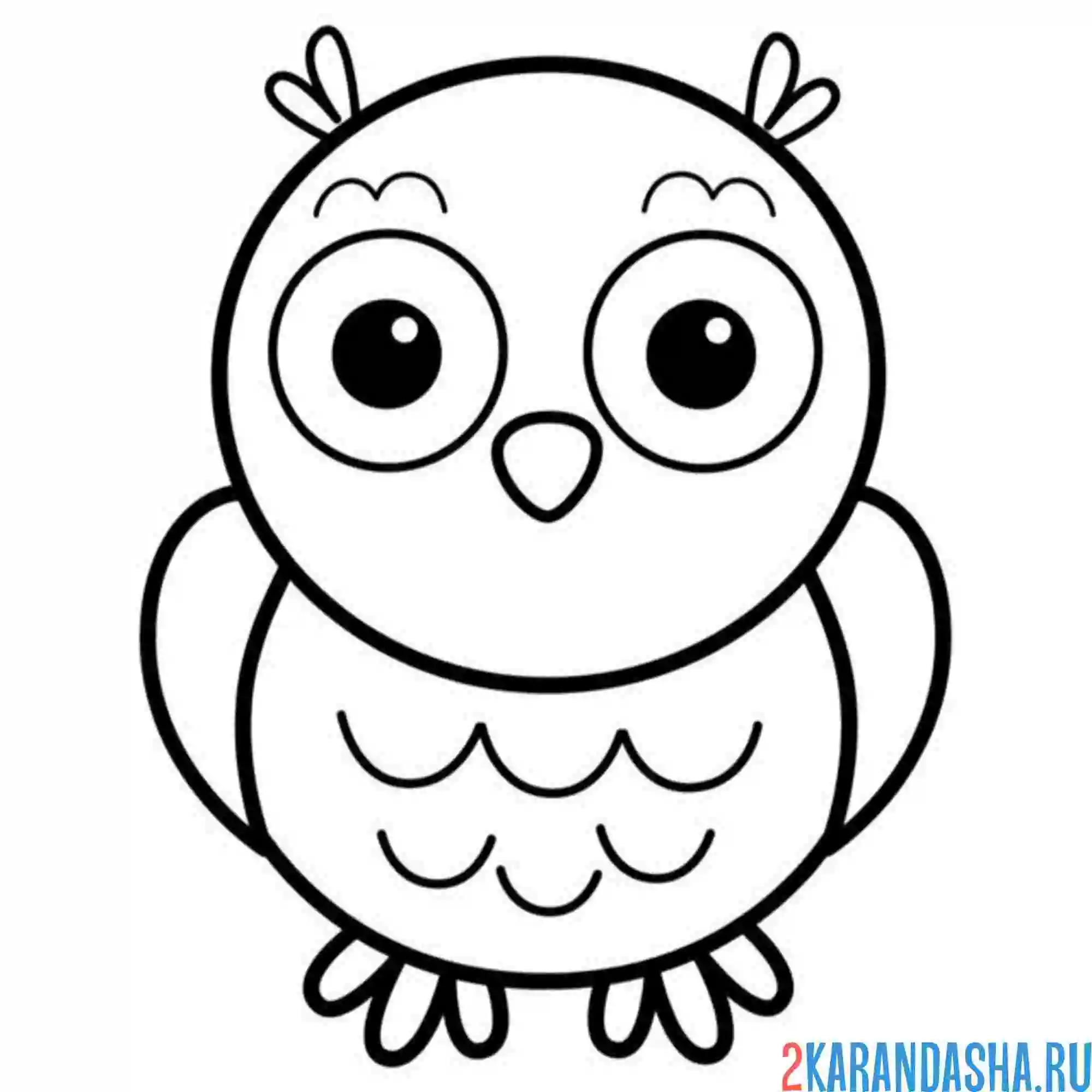 Раскраска совушка