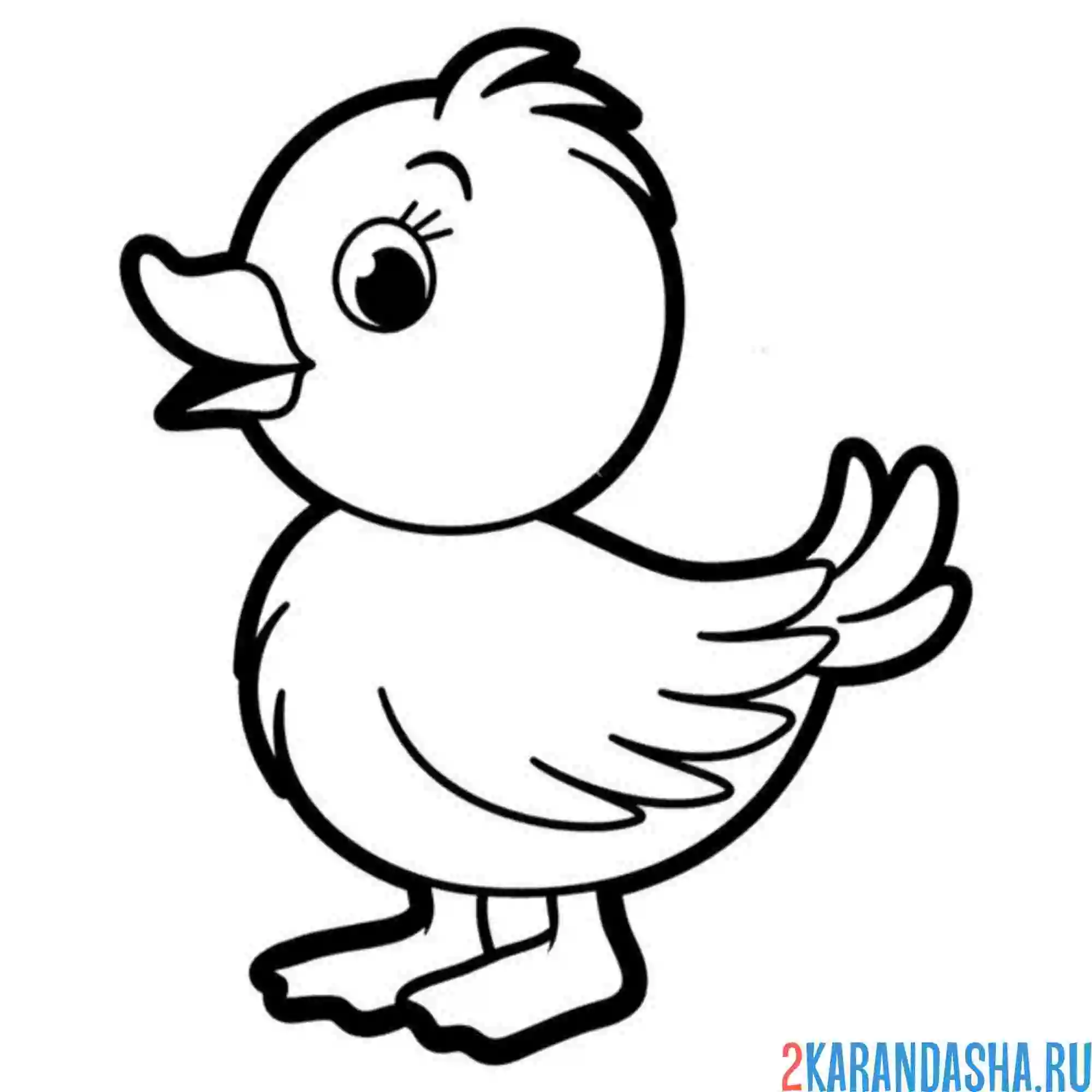 Раскраска милашный утенок