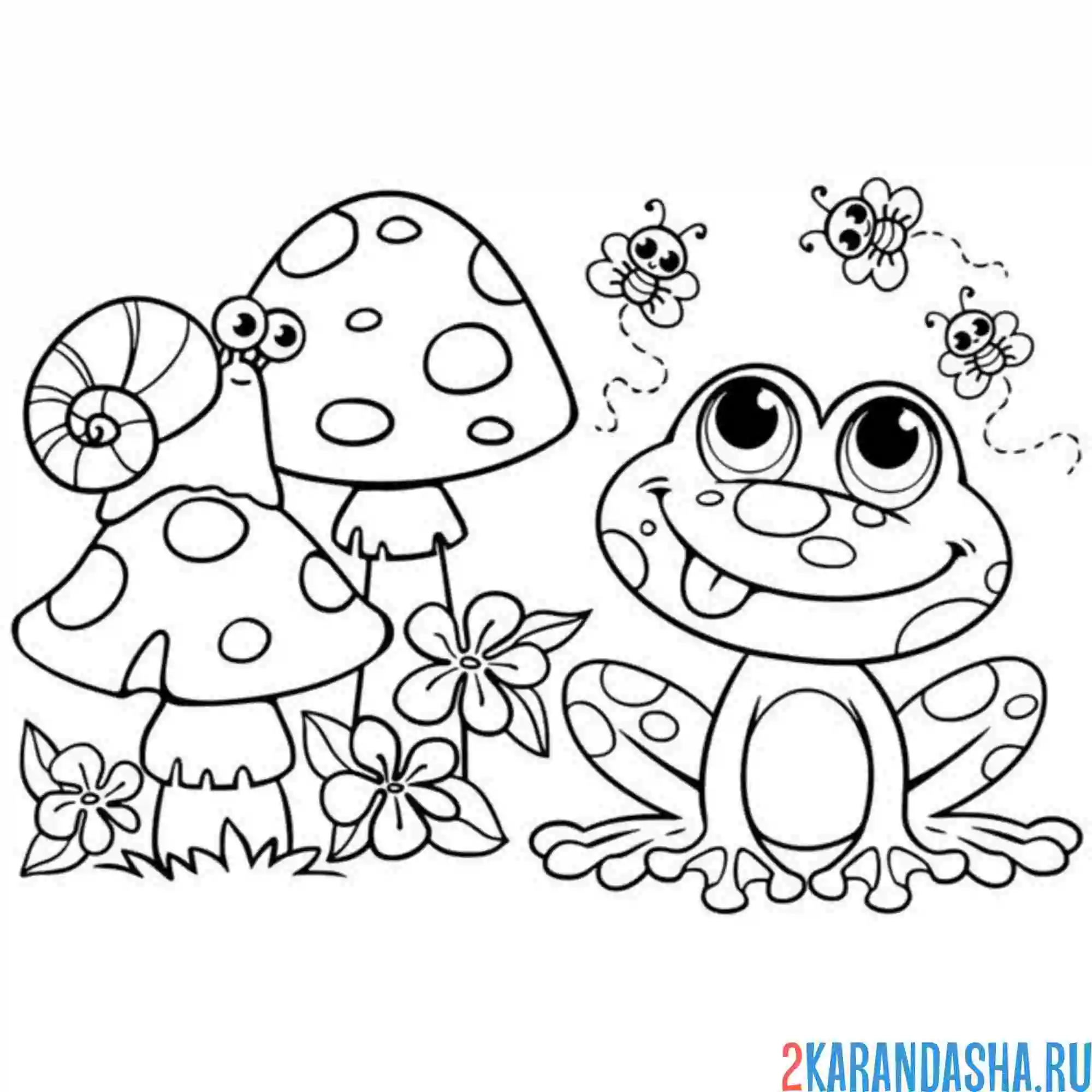 Раскраска лягушка и улитка