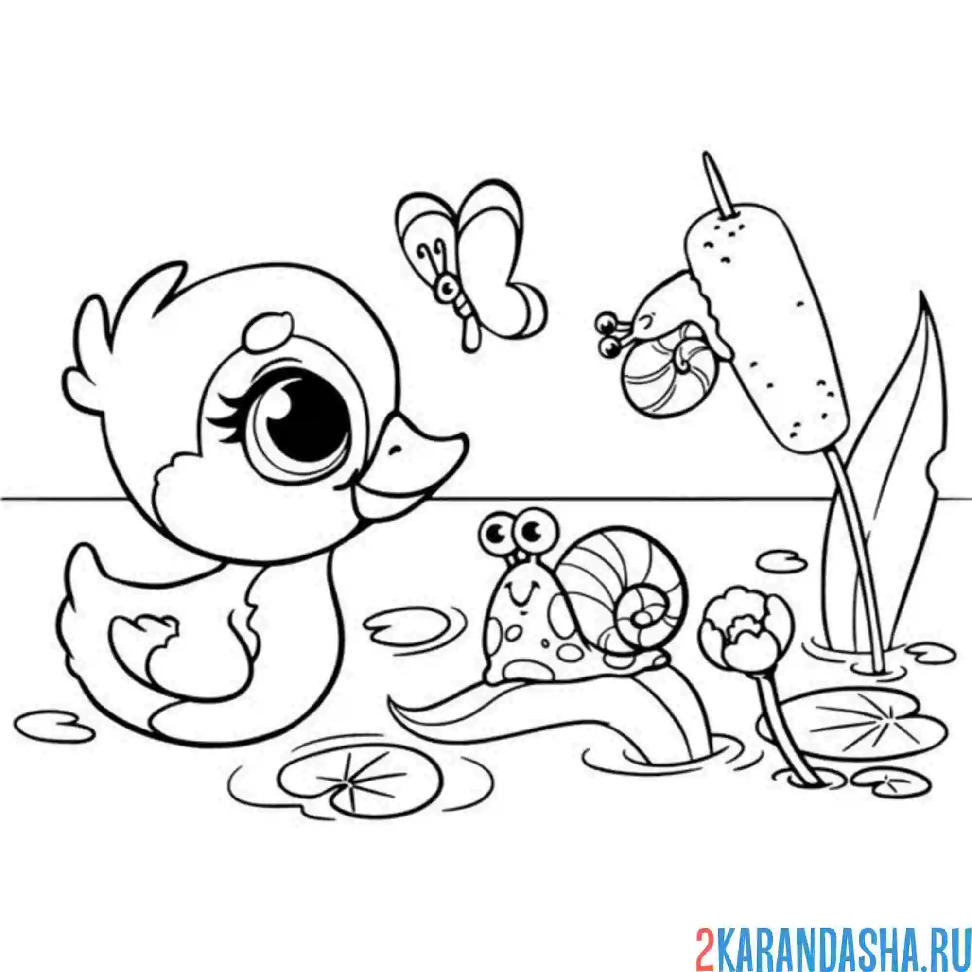 Раскраска уточка и улитка