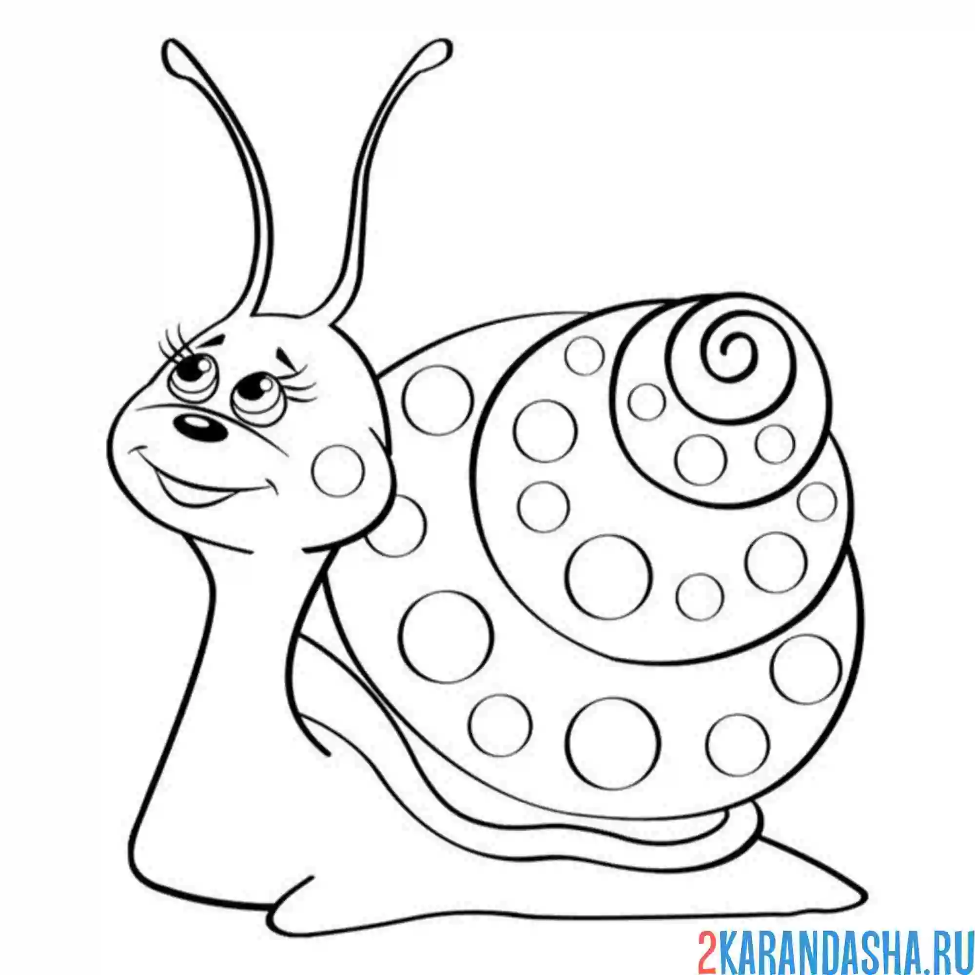 Раскраска улитка улыбается