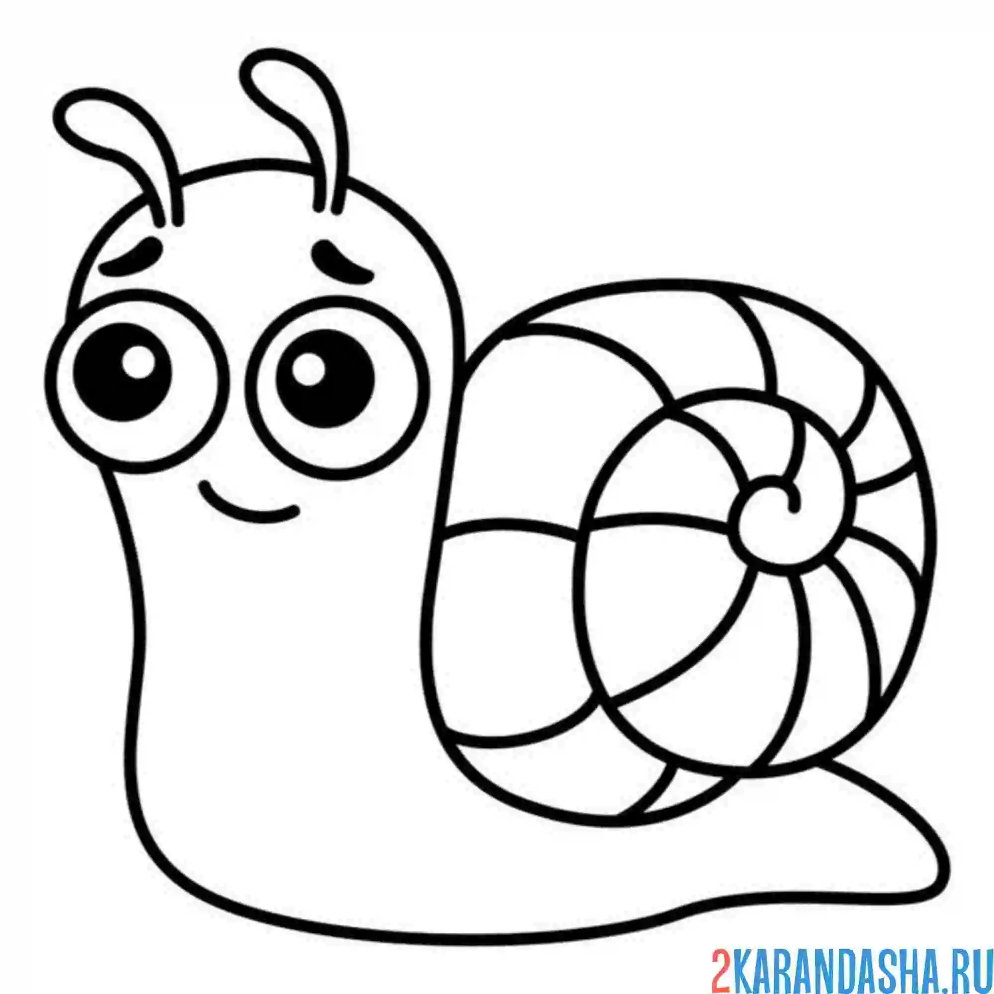 Раскраска улитка малышка