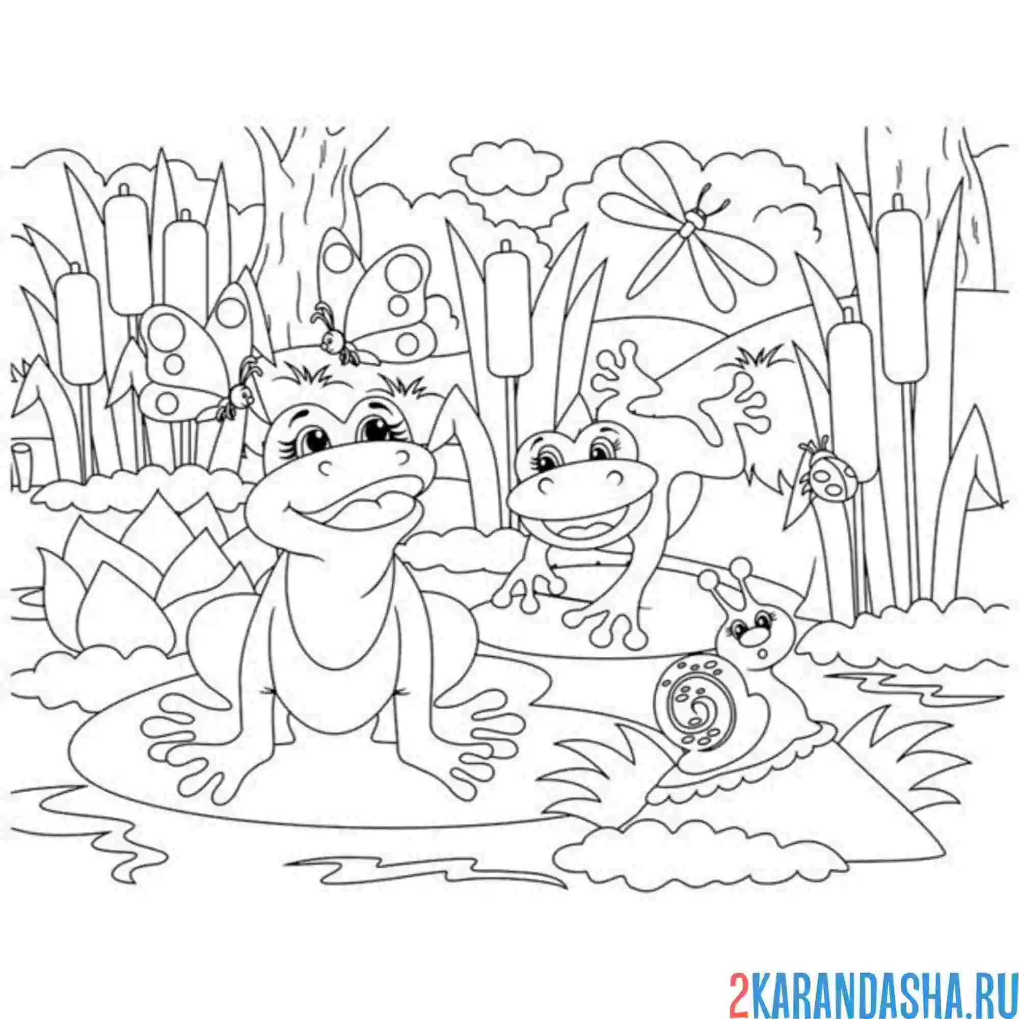 Раскраска болото с лягушками и улитками