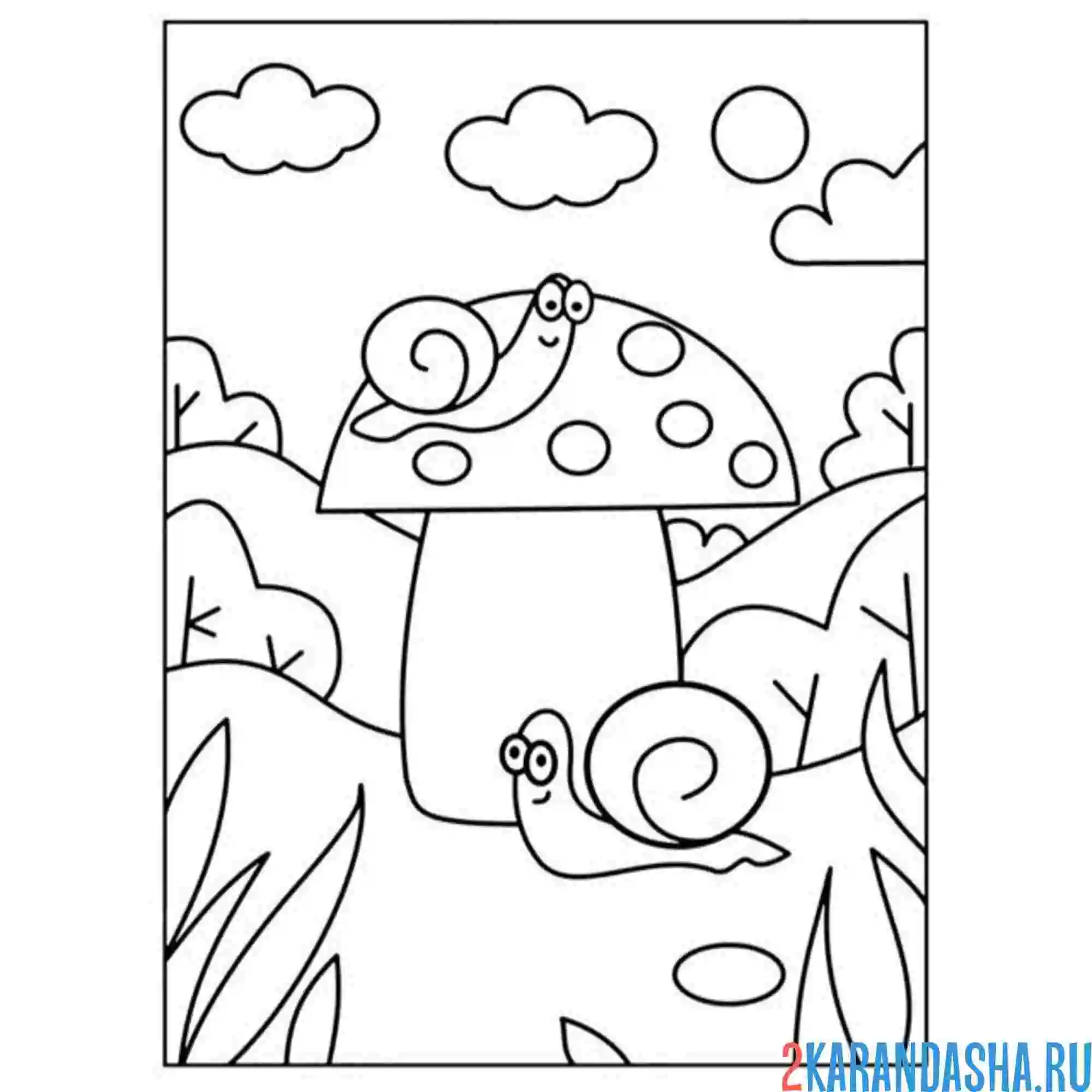 Раскраска гриб и две улитки