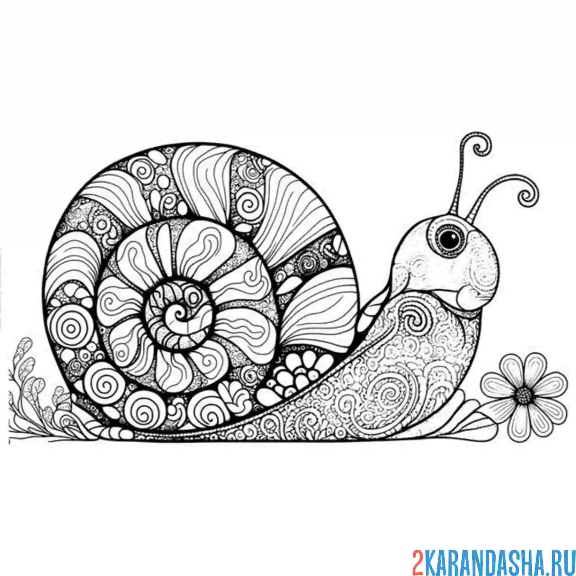 Раскраска улиточка антистресс