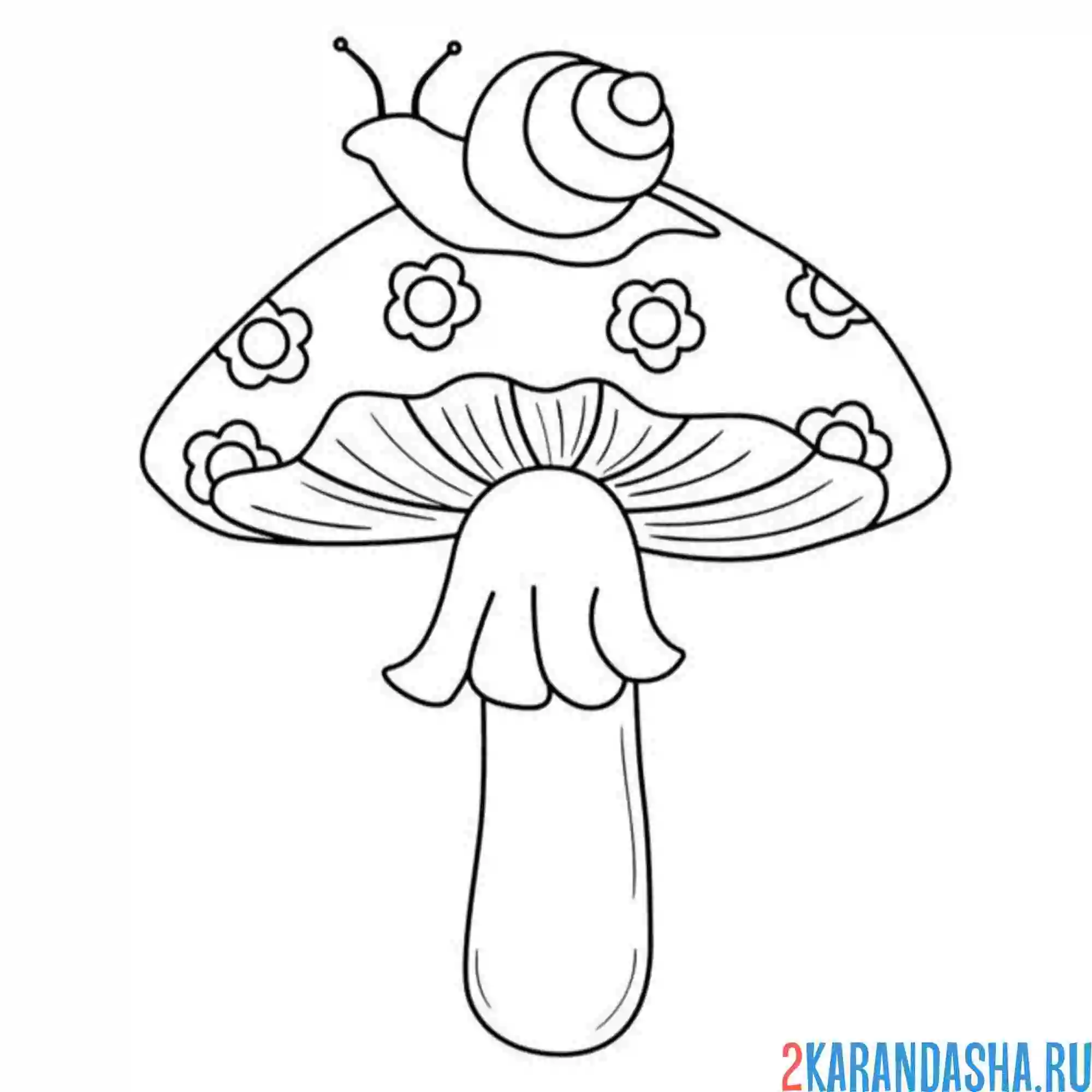 Раскраска гриб с улиткой