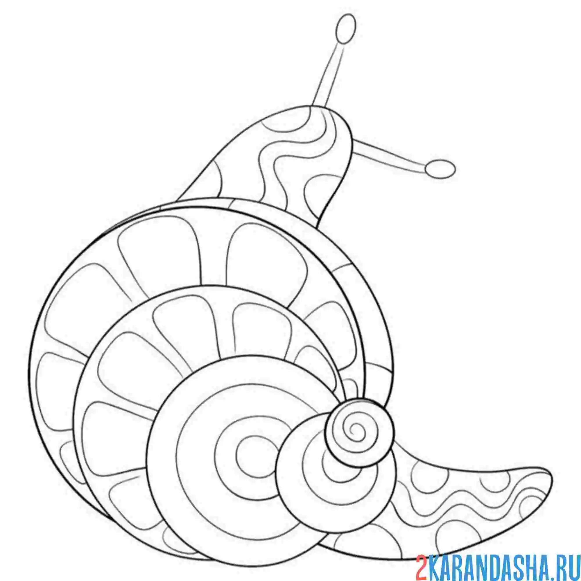 Раскраска улитка ползет