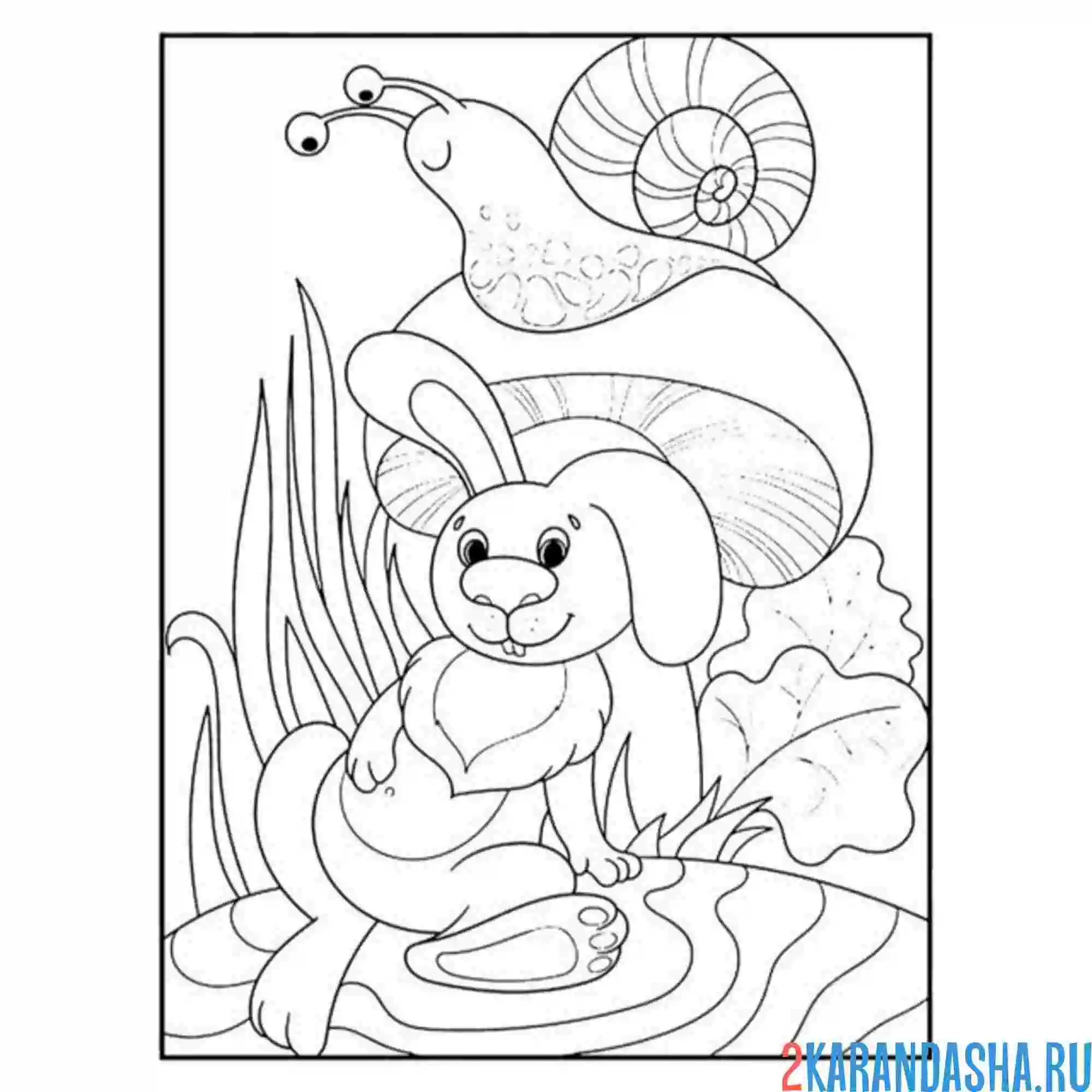 Раскраска заяц и улитка