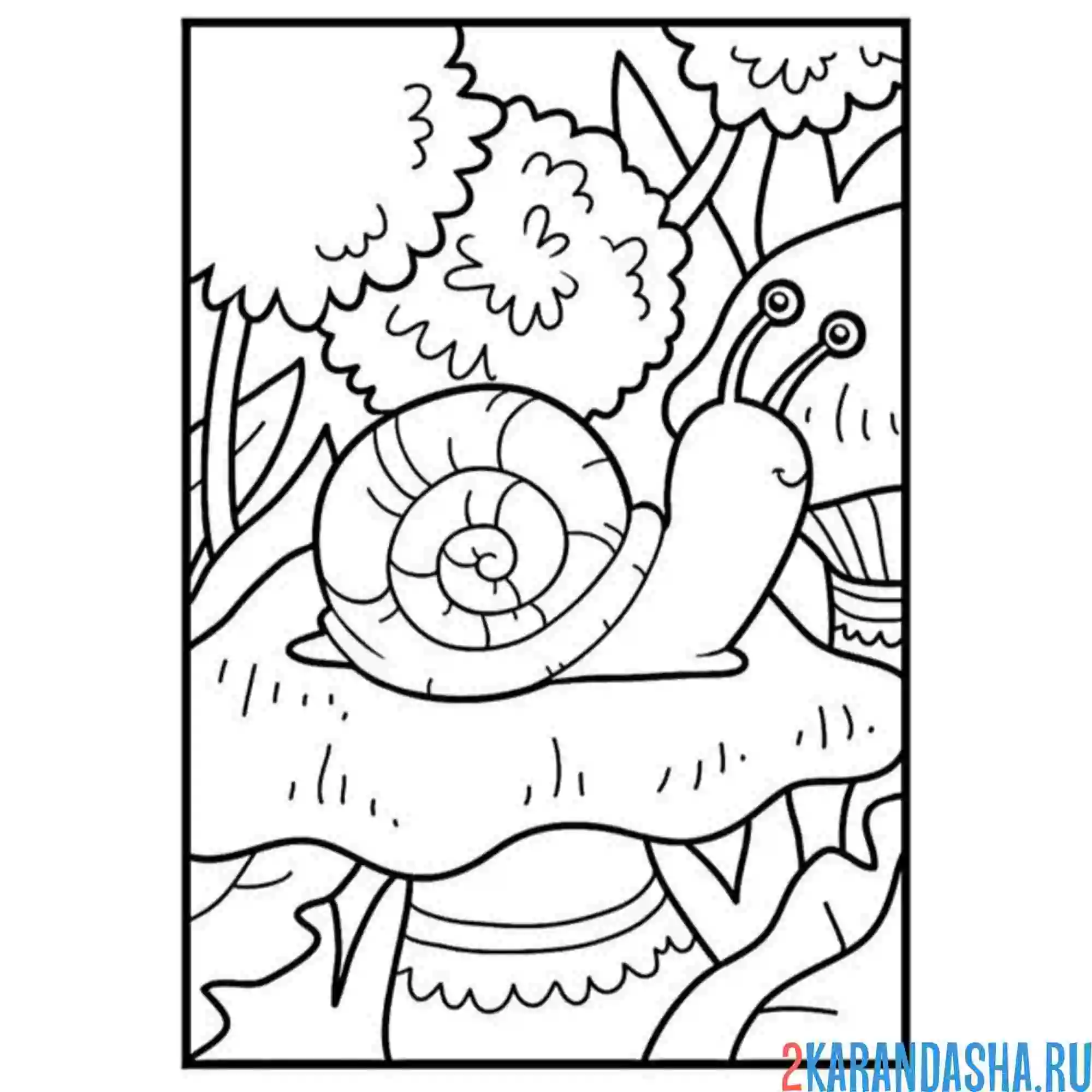 Раскраска улитка и гриб