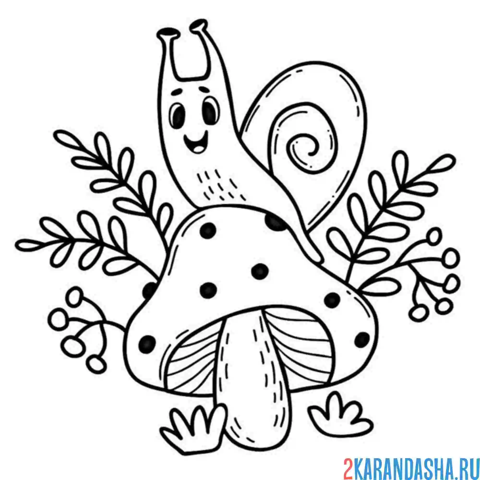 Раскраска улитка лесная