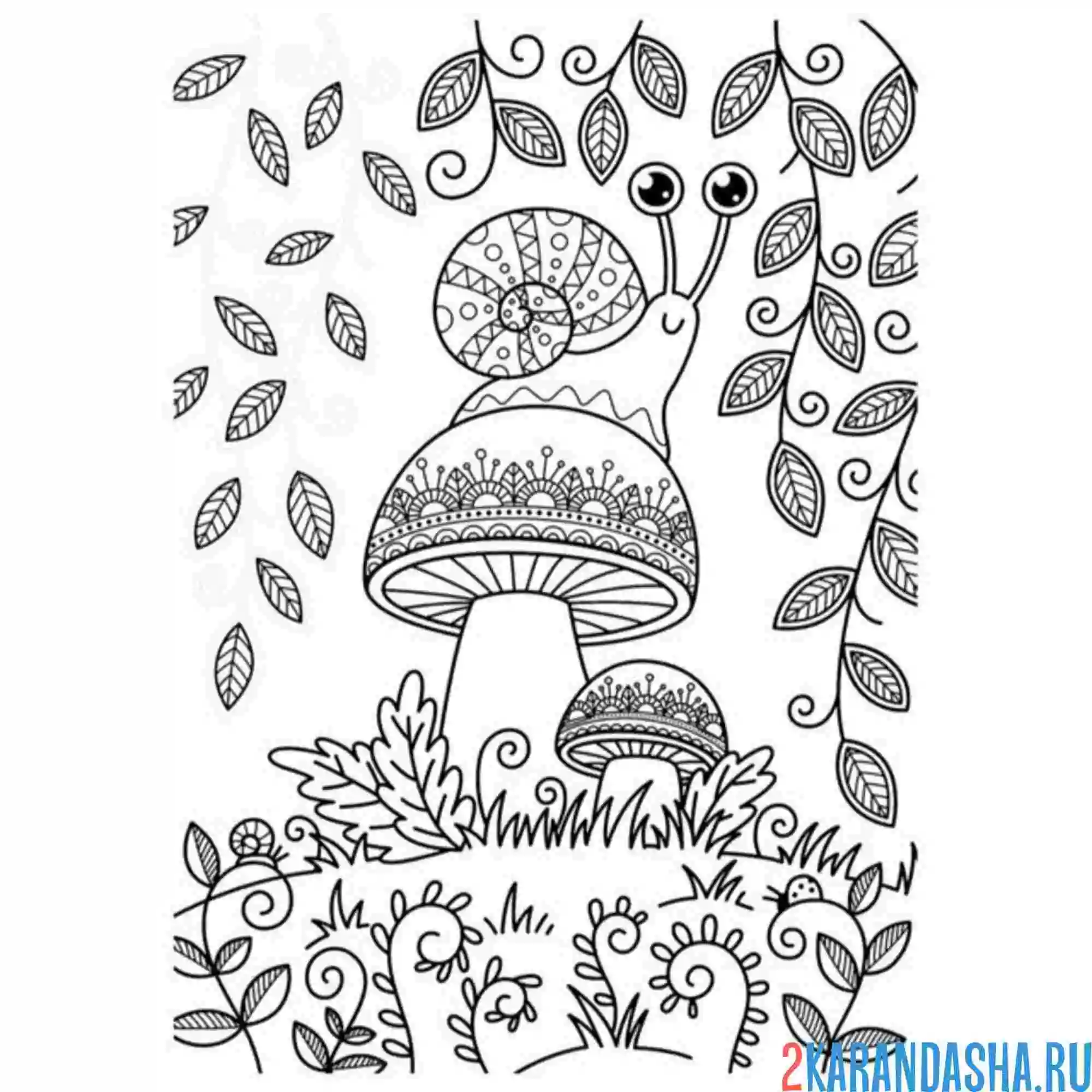 Раскраска красивая улиточка