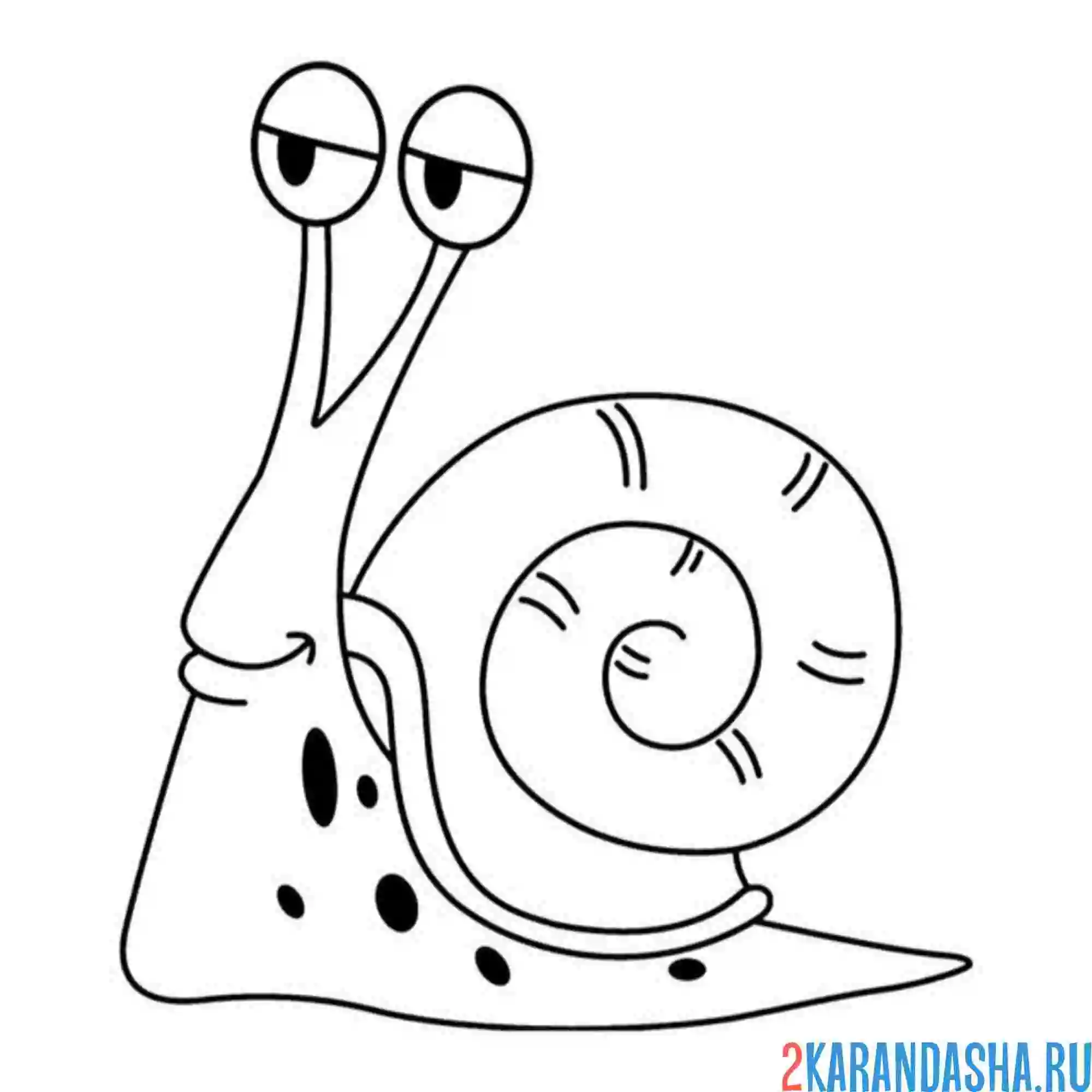 Раскраска деловая улитка