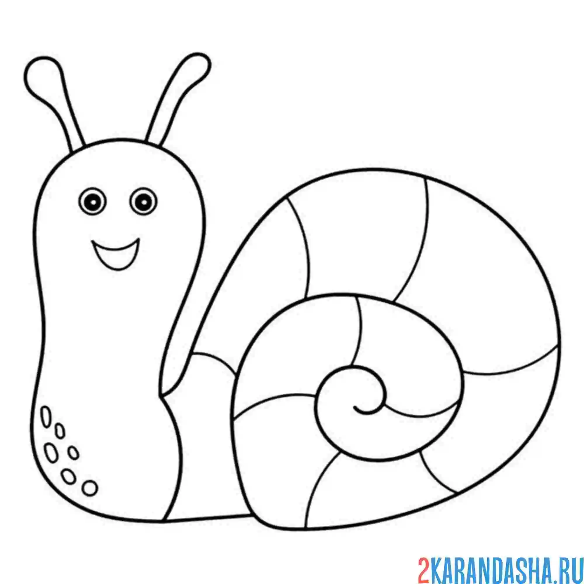 Раскраска улыбака улитка