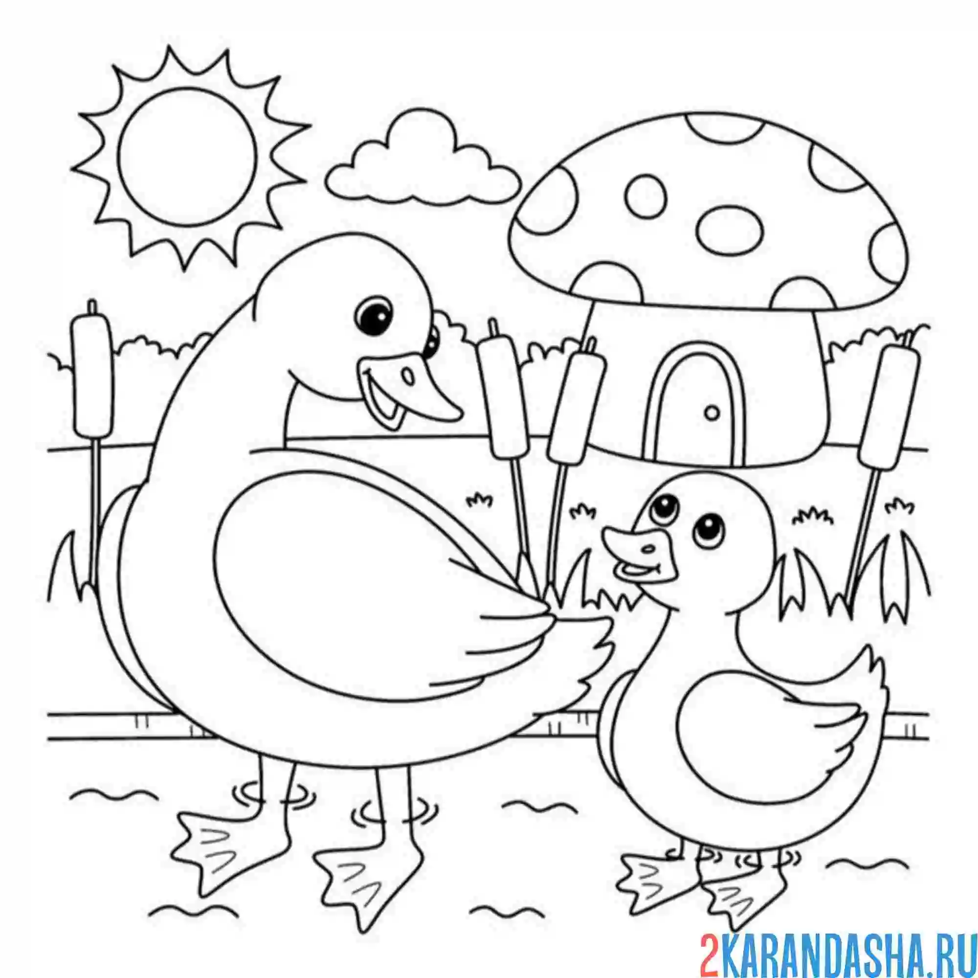 Раскраска мама утка утенок