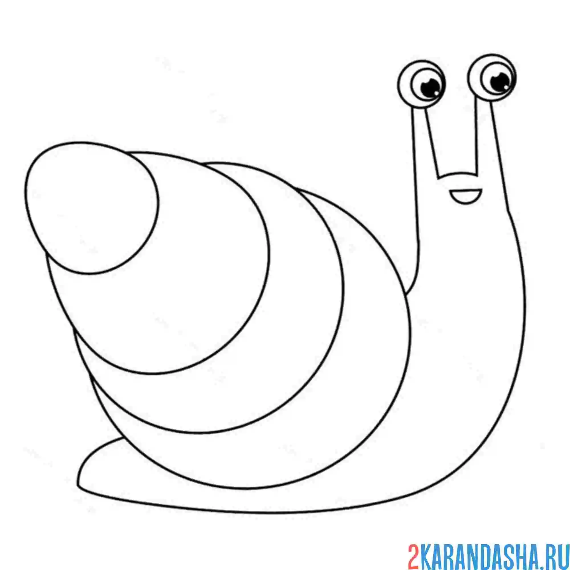 Раскраска улитка взрослая