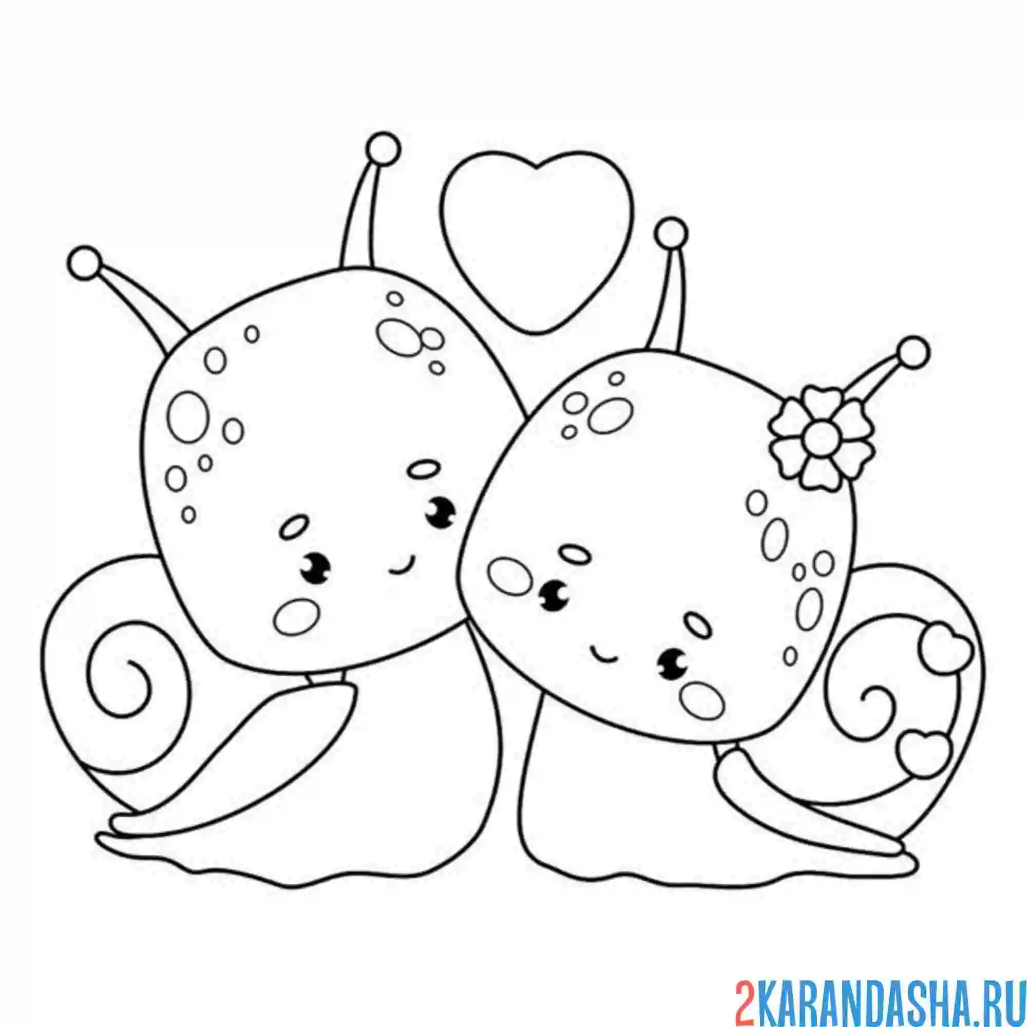 Раскраска влюбленные улитки