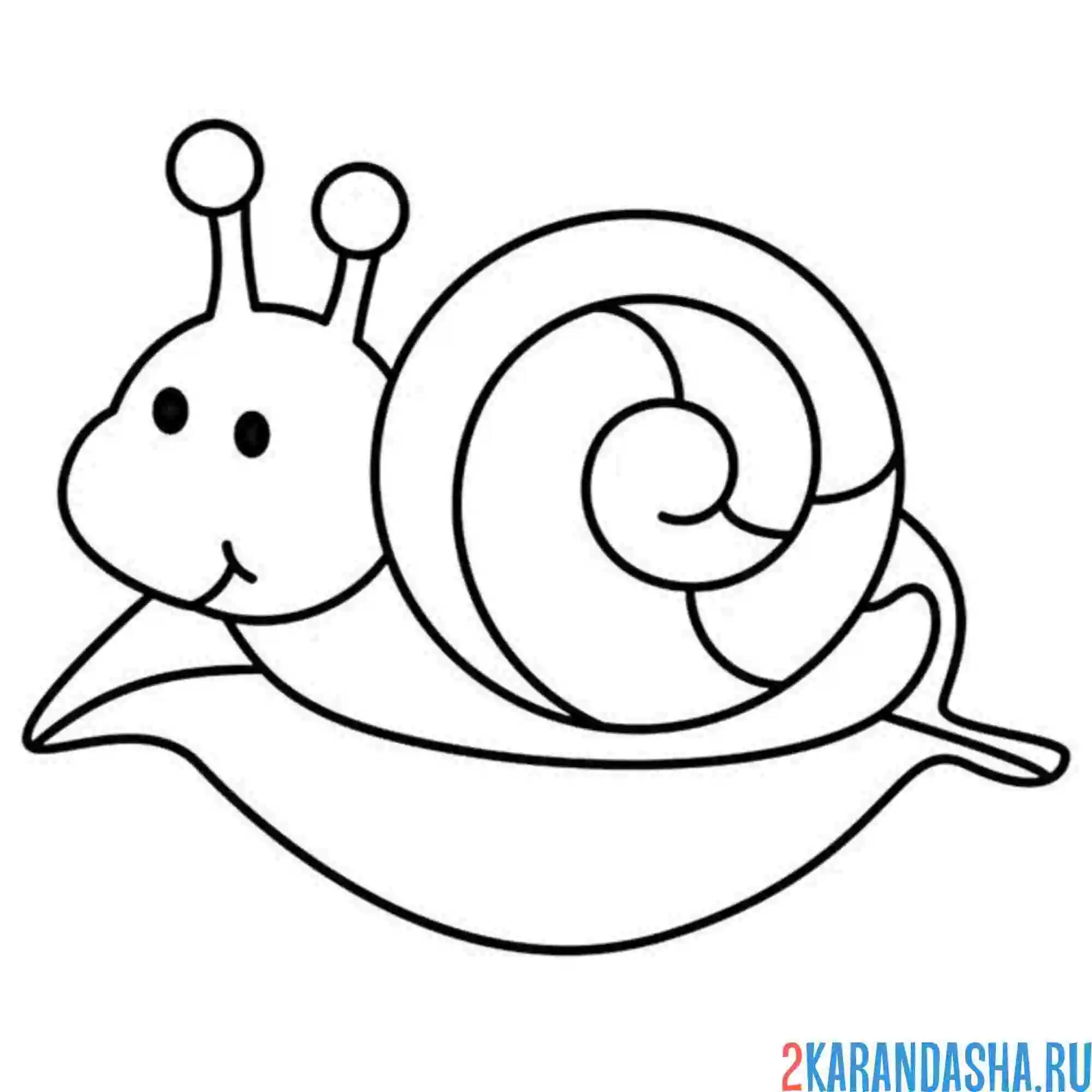 Раскраска улитка в листочке