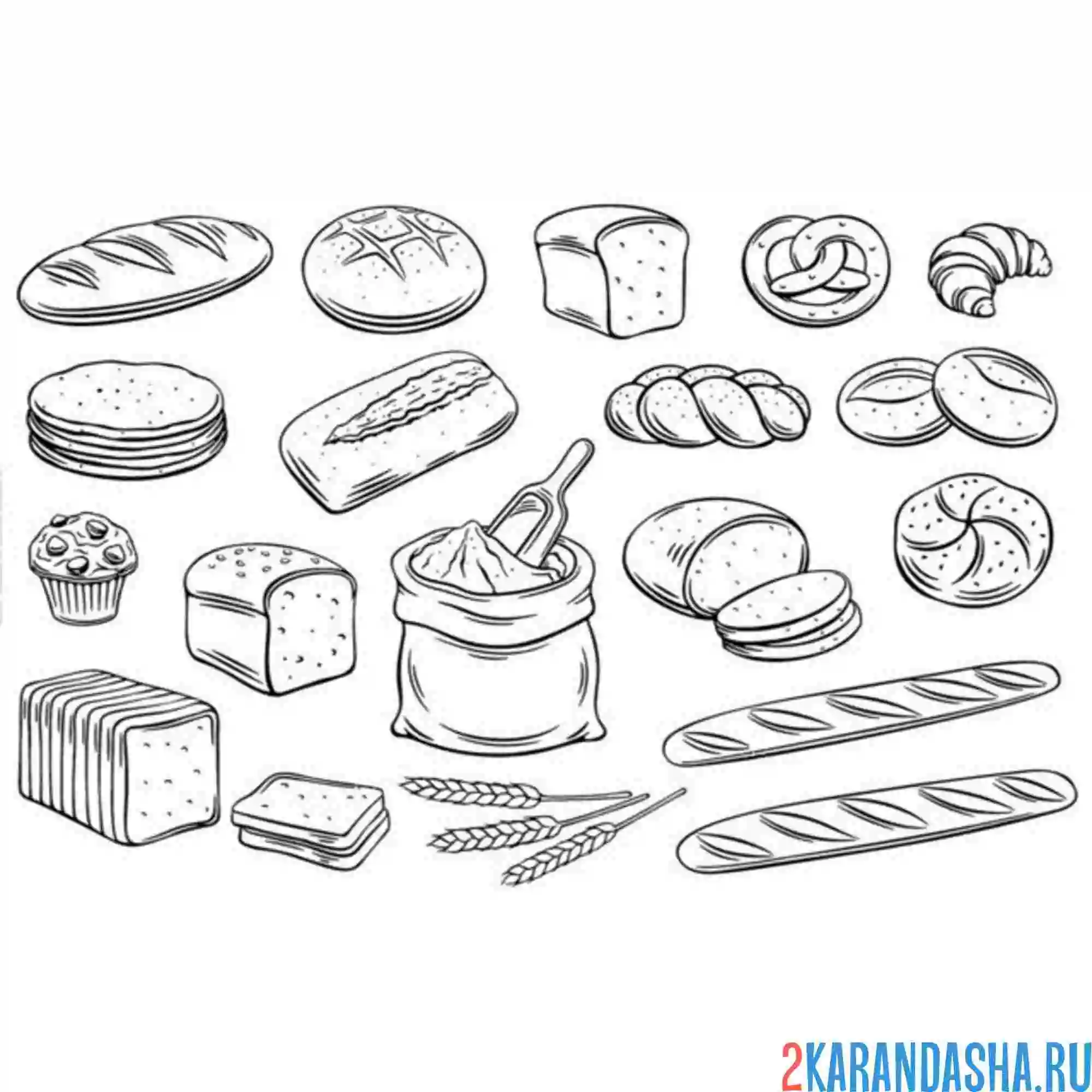 Раскраска разные виды и сорта хлеба
