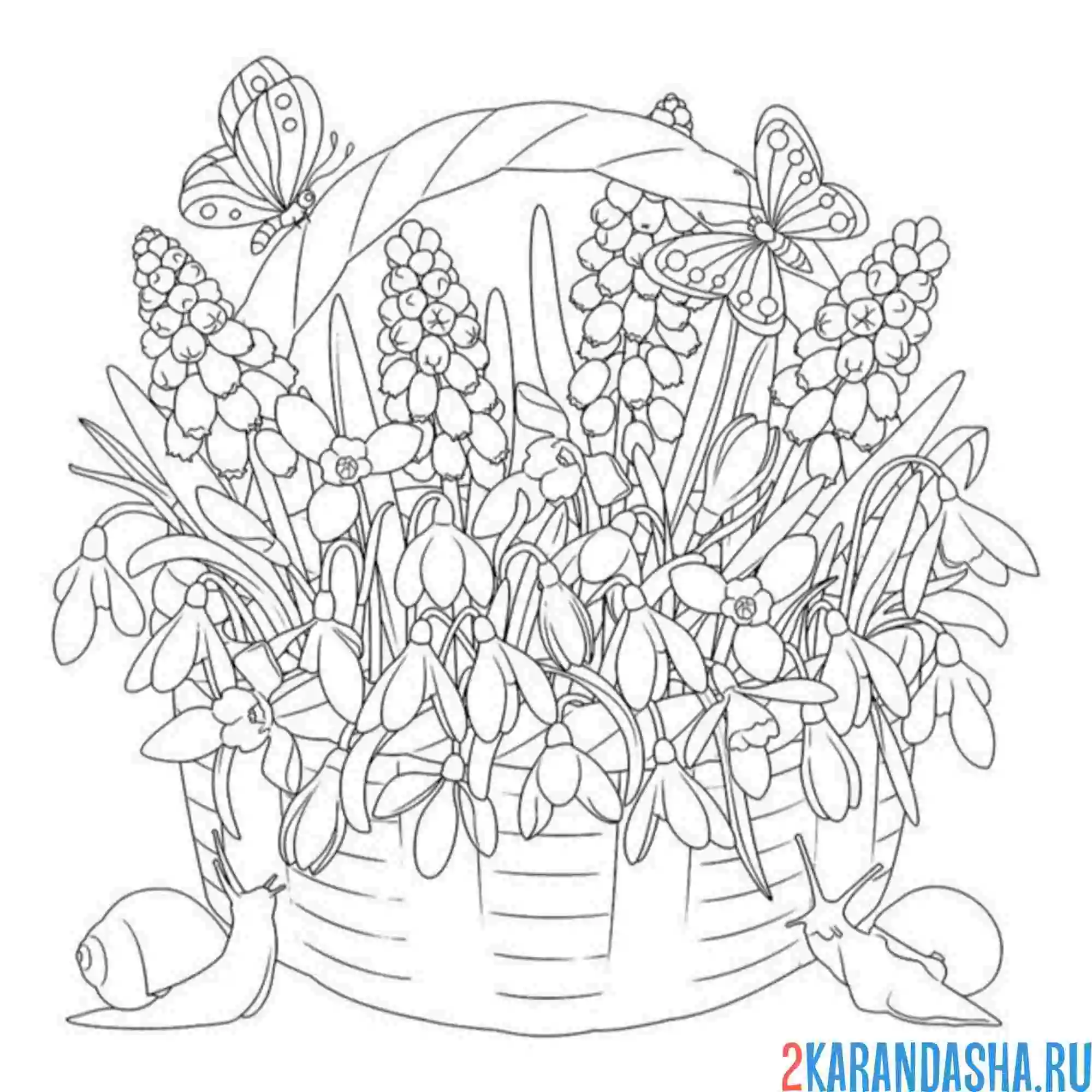 Раскраска корзина с подснежниками
