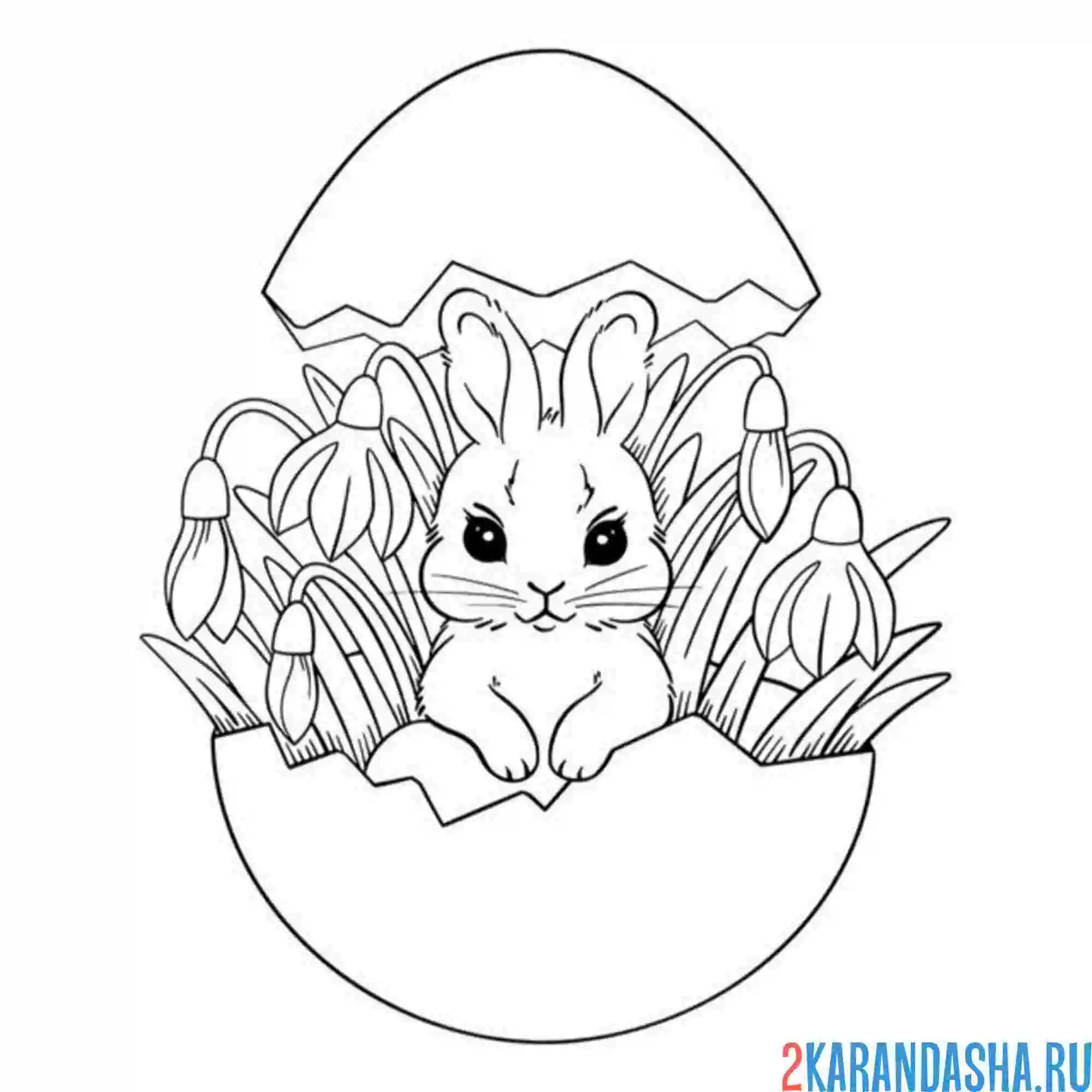 Раскраска подснежники и зайчик