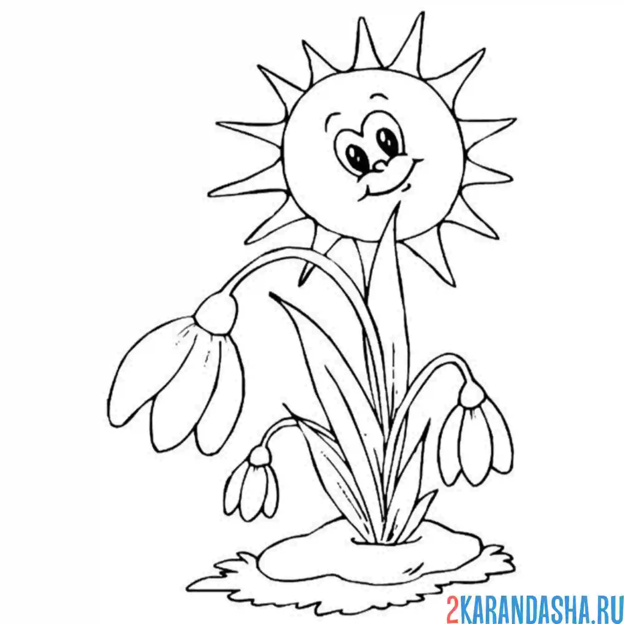 Раскраска подснежники и солнышко