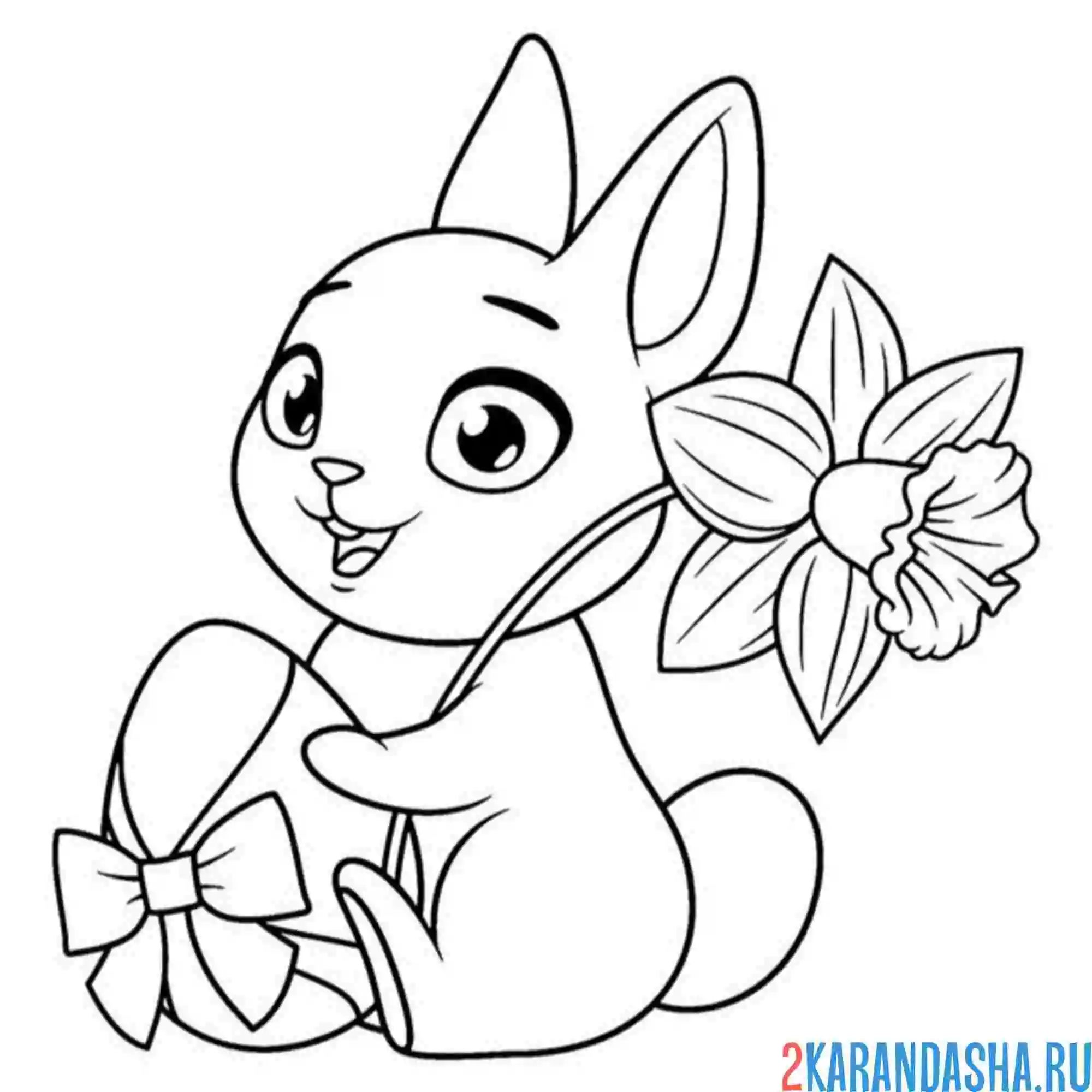 Раскраска зайчик и нарцисс