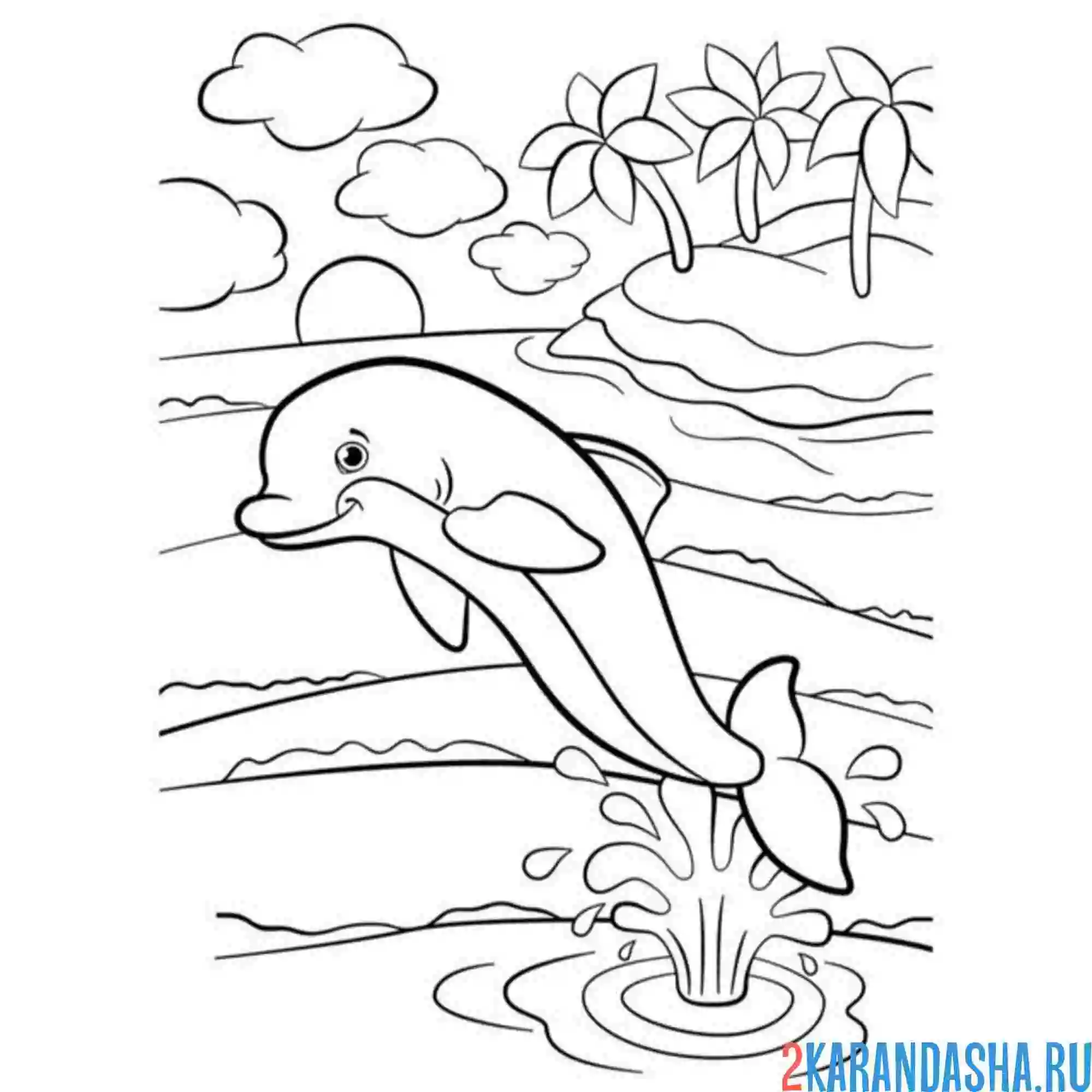 Раскраска дельфин выпрыгнул