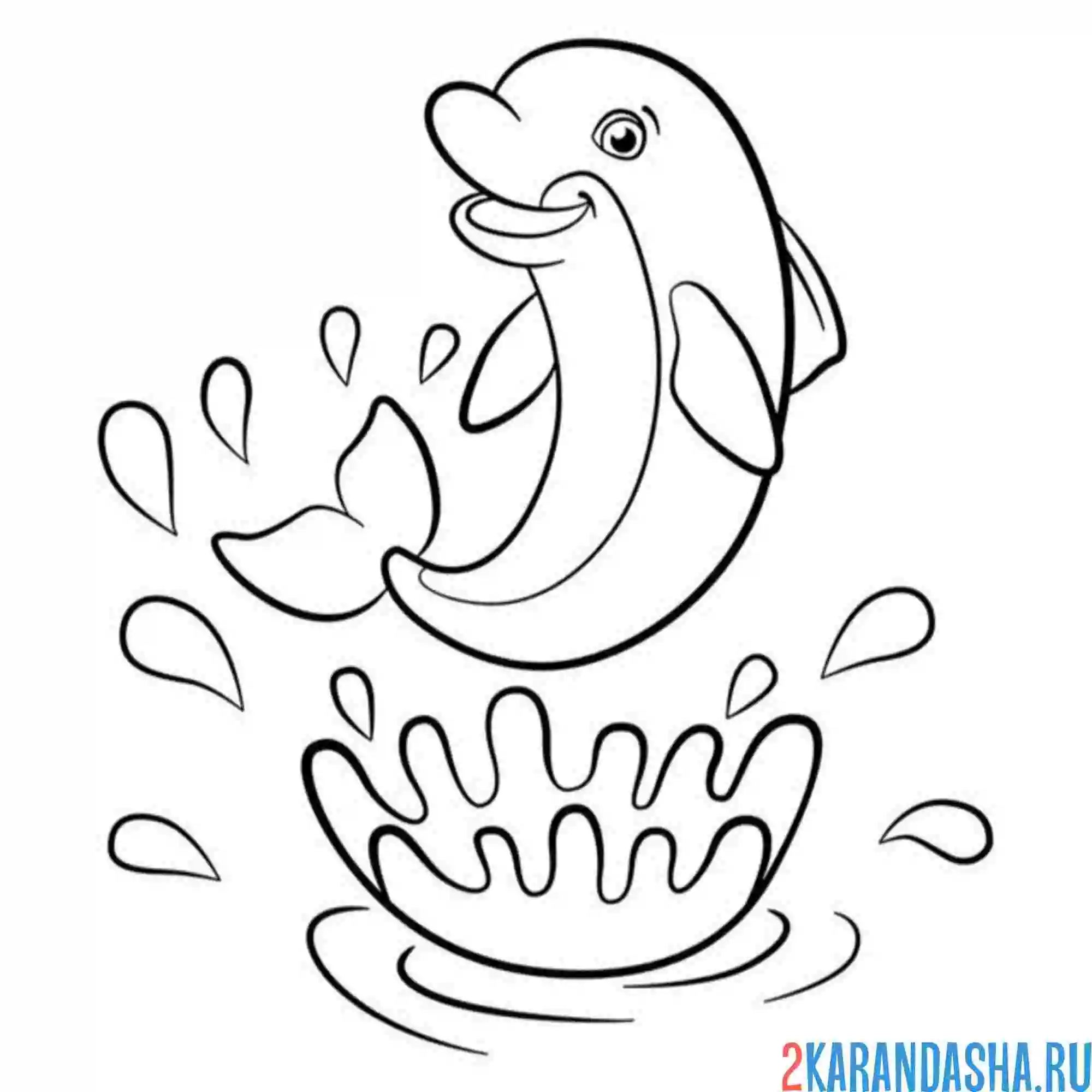 Раскраска дельфин ловкий