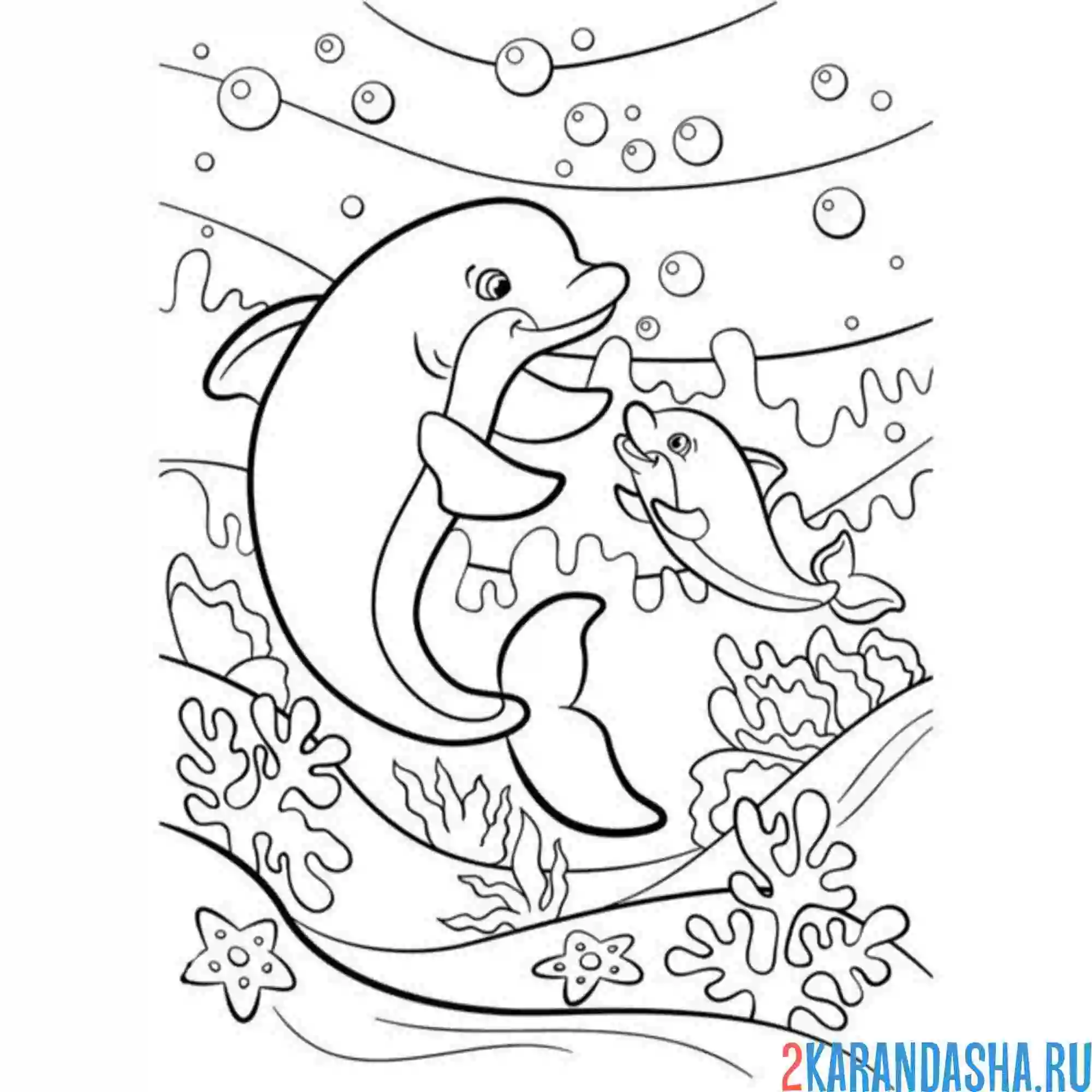 Раскраска семья дельфинов
