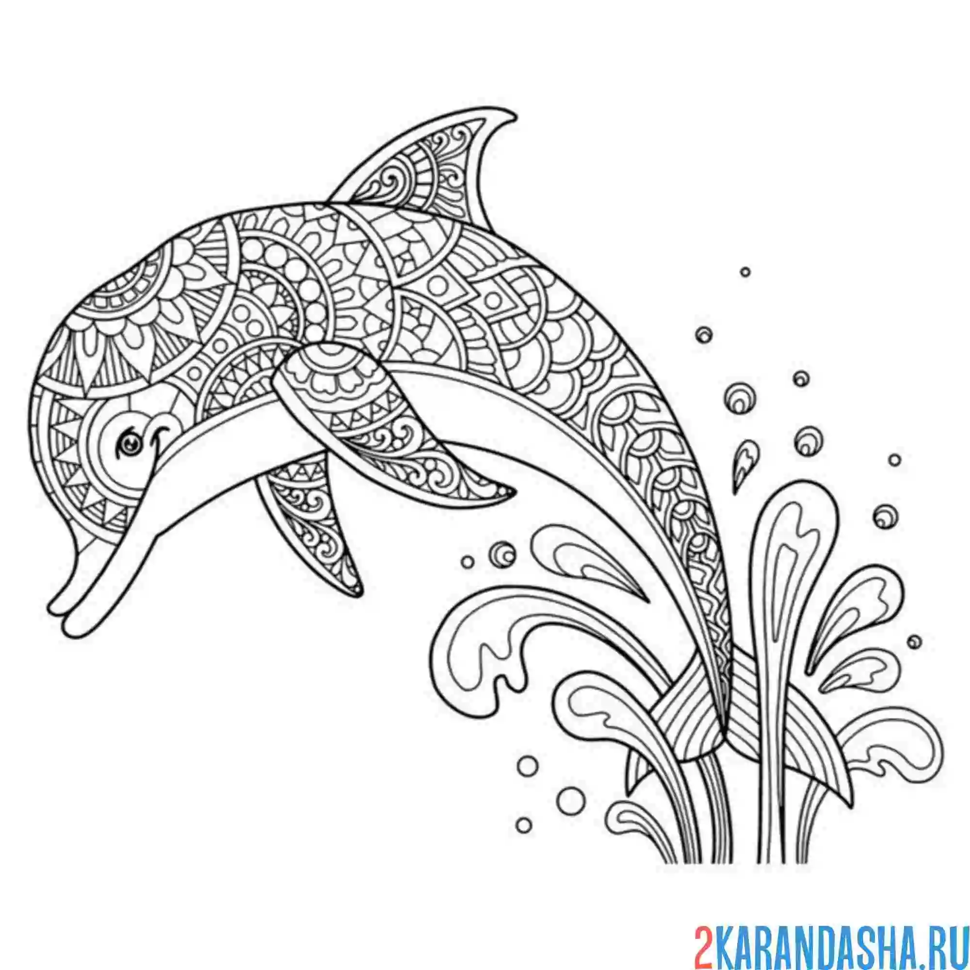Раскраска дельфин антистресс узоры