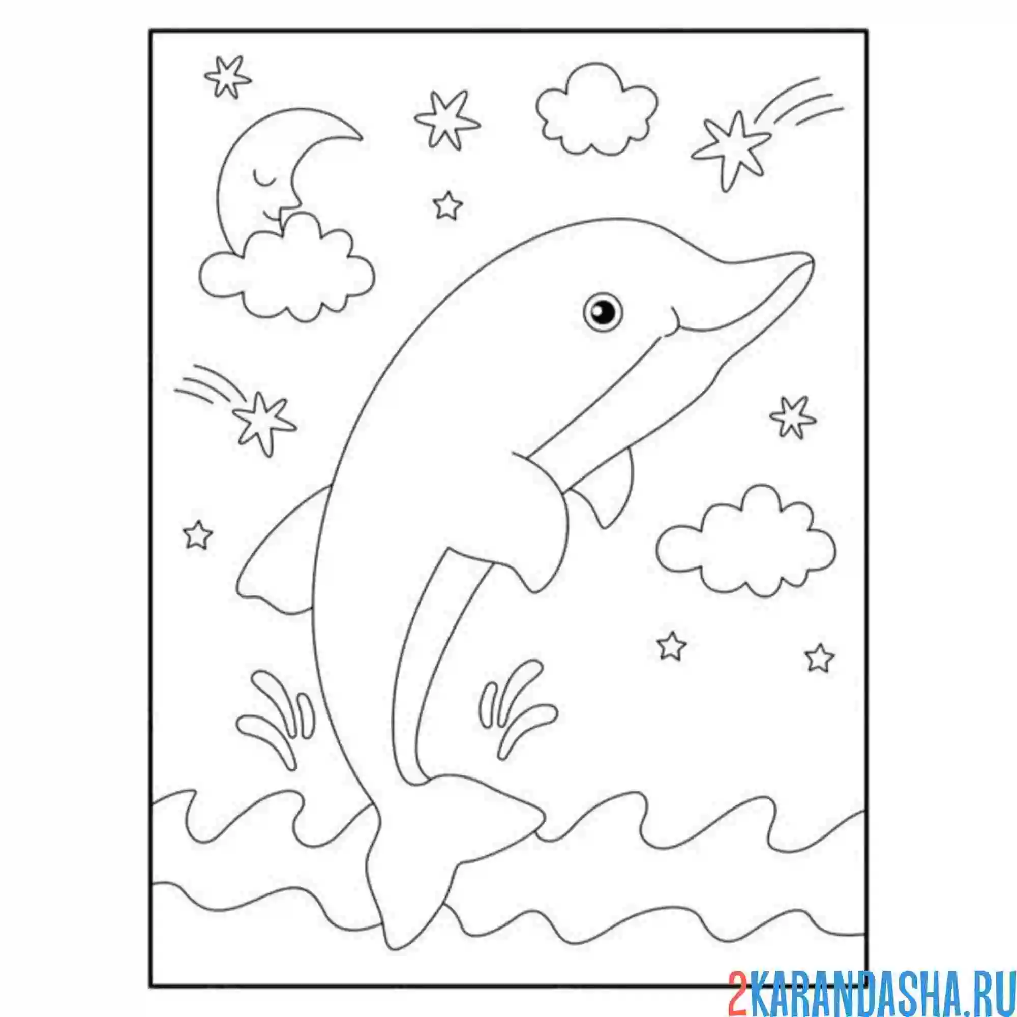 Раскраска дельфин море ночь