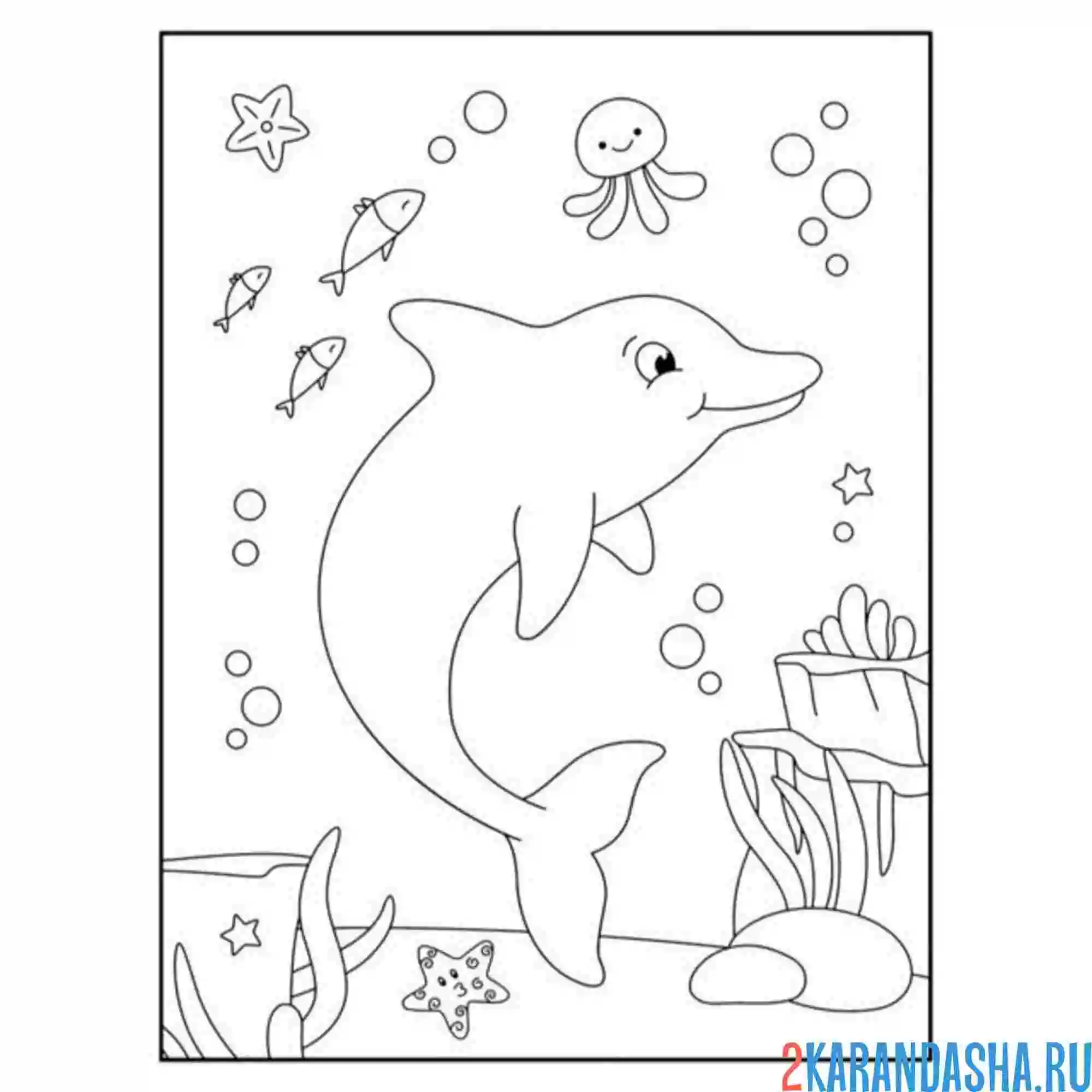 Раскраска дельфин подводный мир